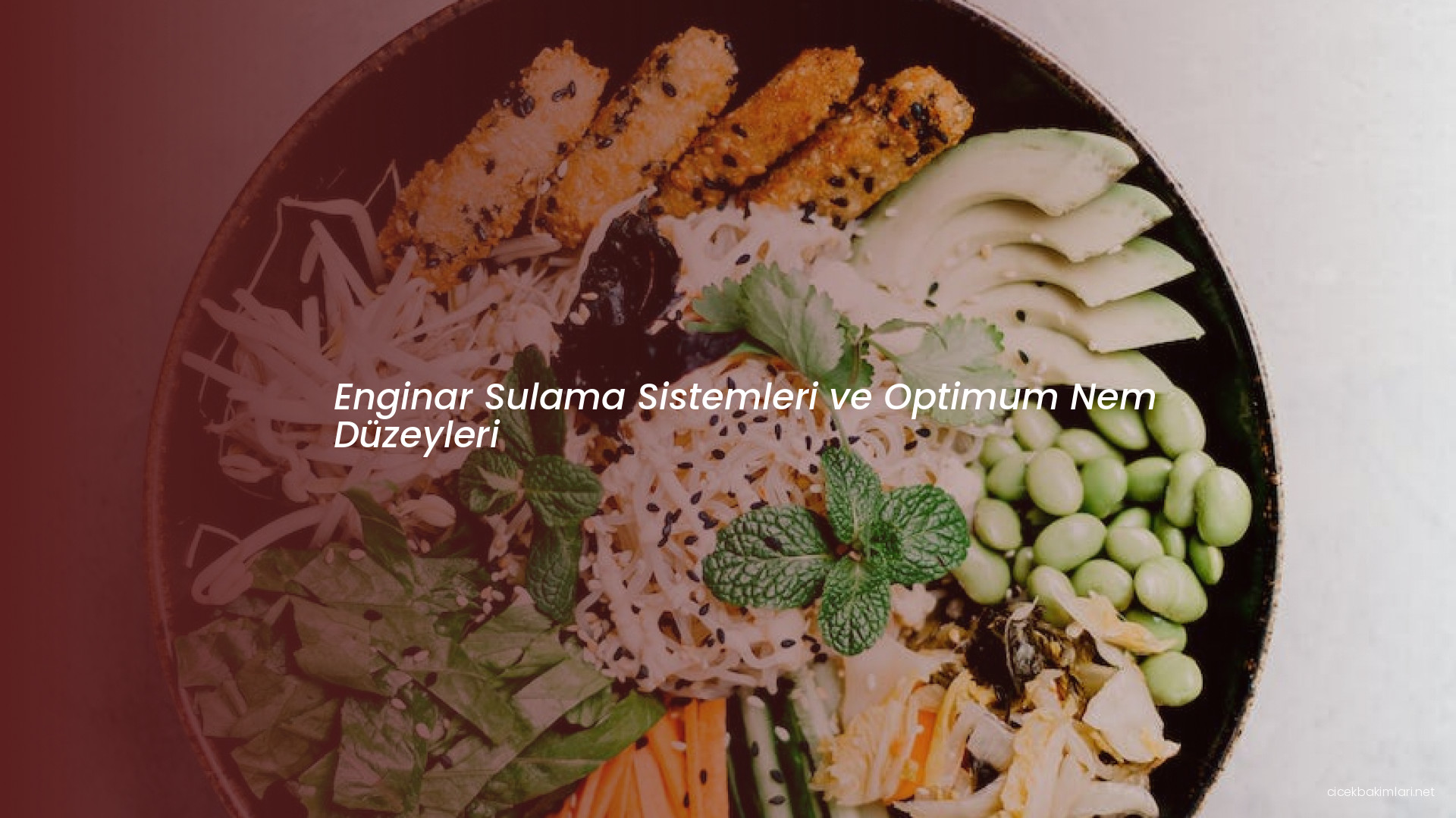 Enginar Sulama Sistemleri ve Optimum Nem Düzeyleri