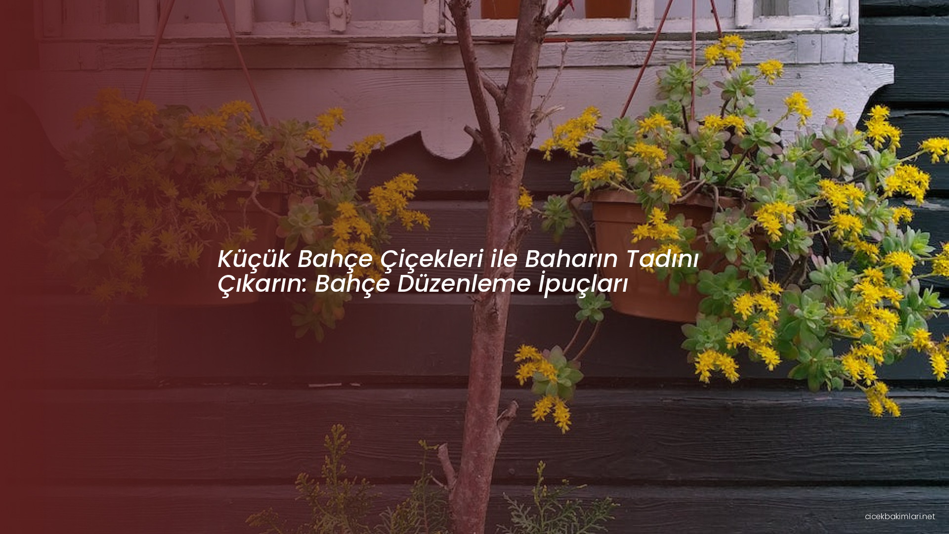 Küçük Bahçe Çiçekleri ile Baharın Tadını Çıkarın: Bahçe Düzenleme İpuçları