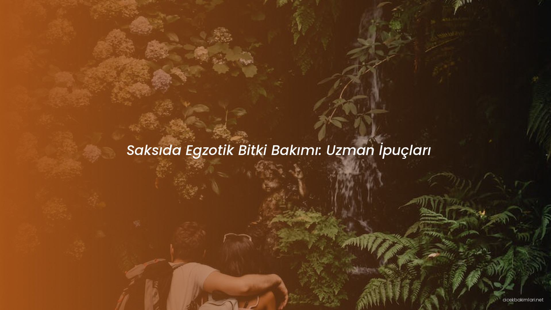 Saksıda Egzotik Bitki Bakımı: Uzman İpuçları