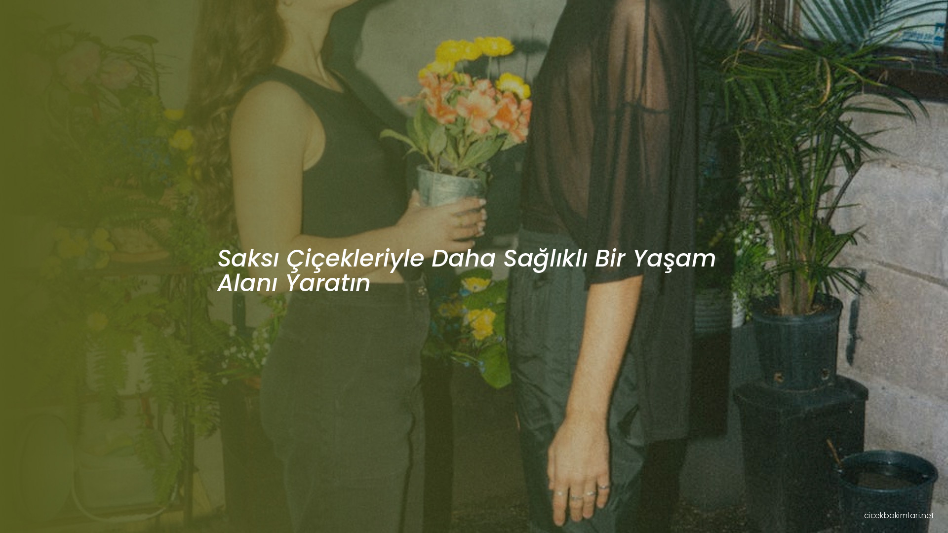 Saksı Çiçekleriyle Daha Sağlıklı Bir Yaşam Alanı Yaratın