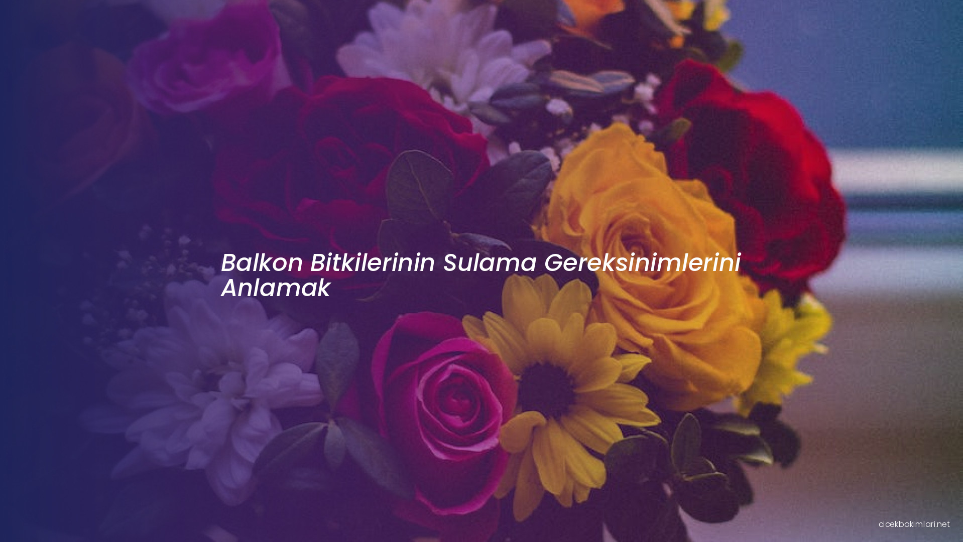 Balkon Bitkilerinin Sulama Gereksinimlerini Anlamak