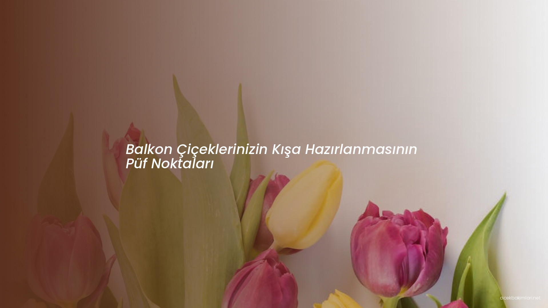 Balkon Çiçeklerinizin Kışa Hazırlanmasının Püf Noktaları