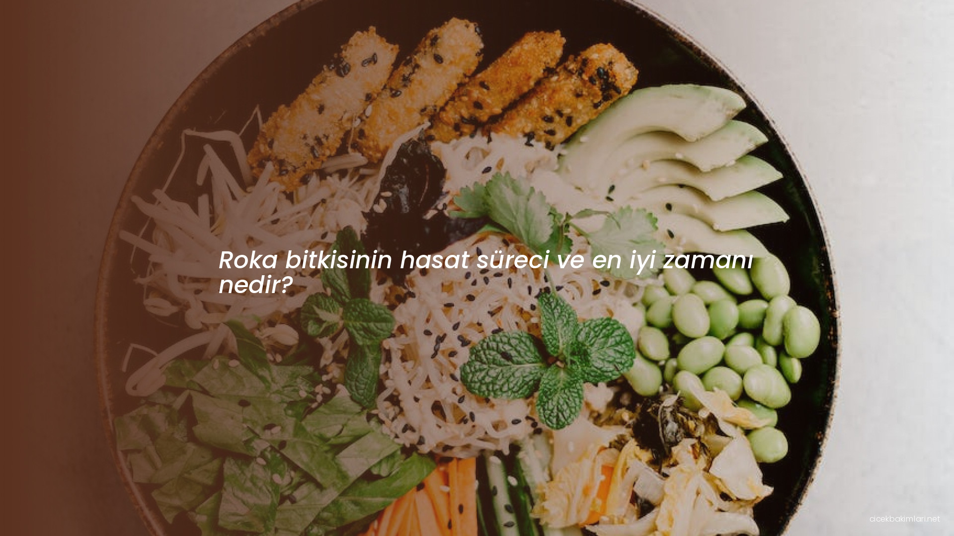Roka bitkisinin hasat süreci ve en iyi zamanı nedir?