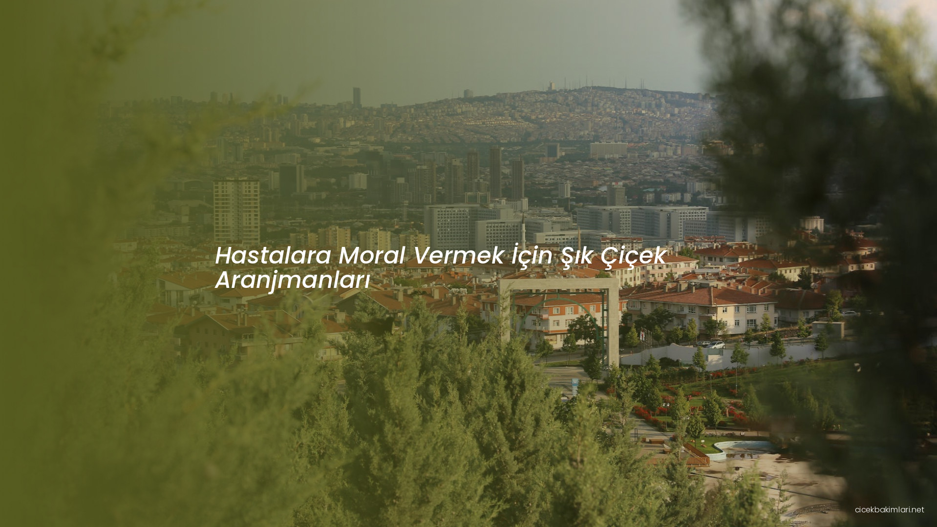 Hastalara Moral Vermek İçin Şık Çiçek Aranjmanları