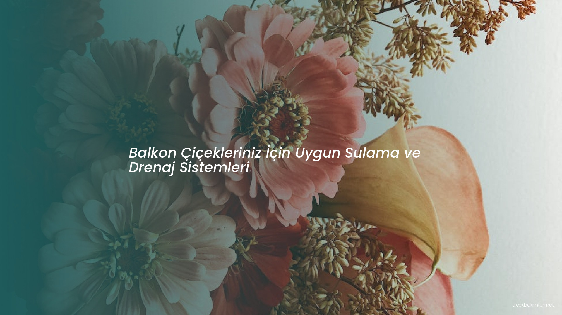 Balkon Çiçekleriniz İçin Uygun Sulama ve Drenaj Sistemleri