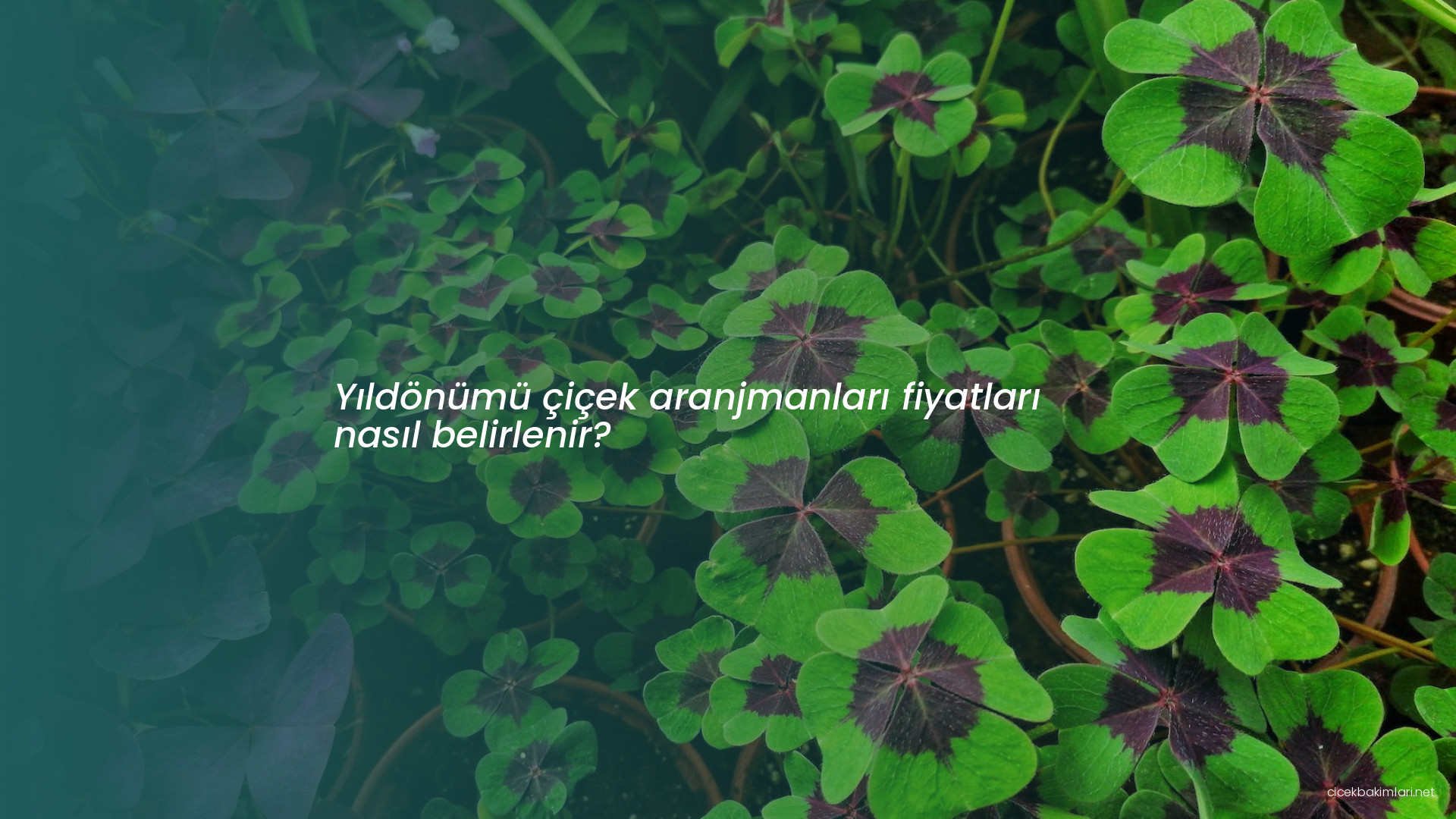 Yıldönümü çiçek aranjmanları fiyatları nasıl belirlenir?