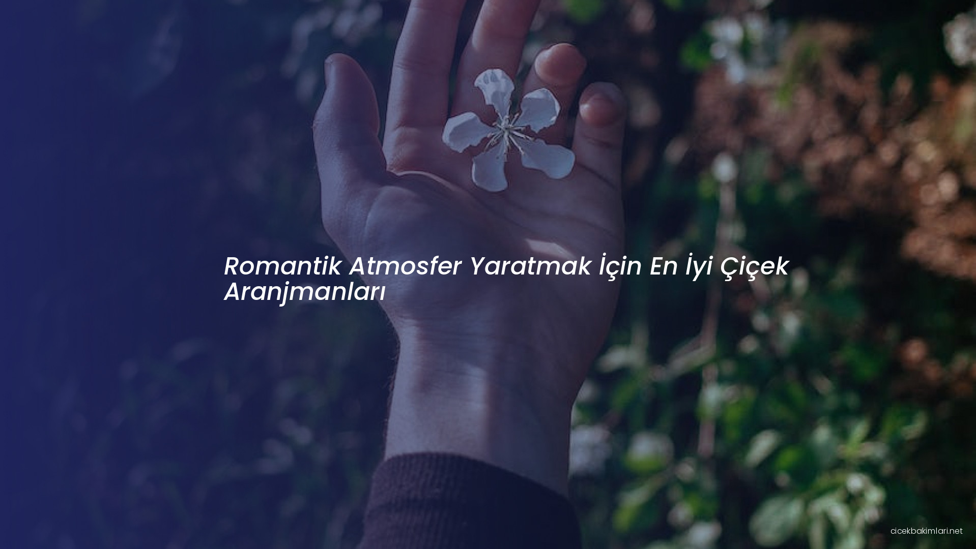 Romantik Atmosfer Yaratmak İçin En İyi Çiçek Aranjmanları