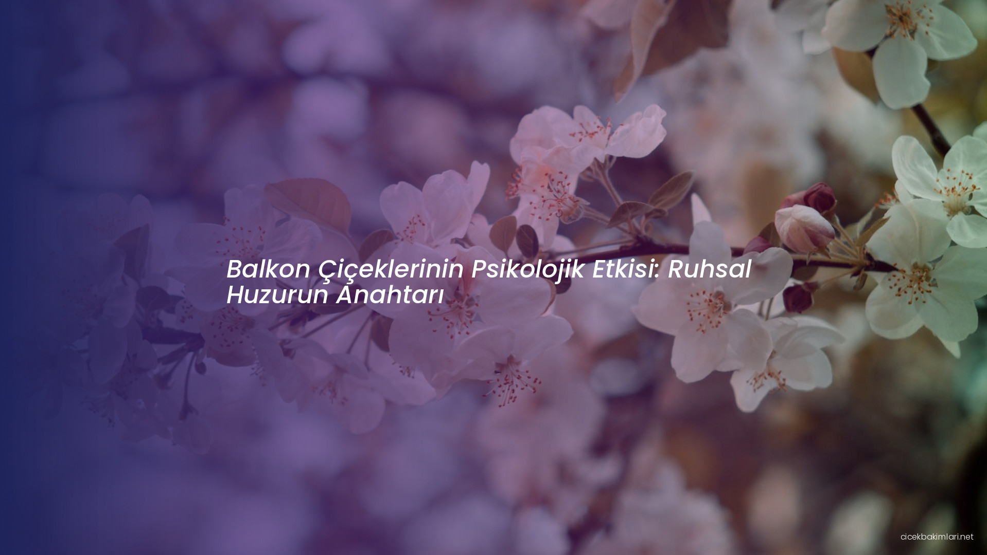 Balkon Çiçeklerinin Psikolojik Etkisi: Ruhsal Huzurun Anahtarı