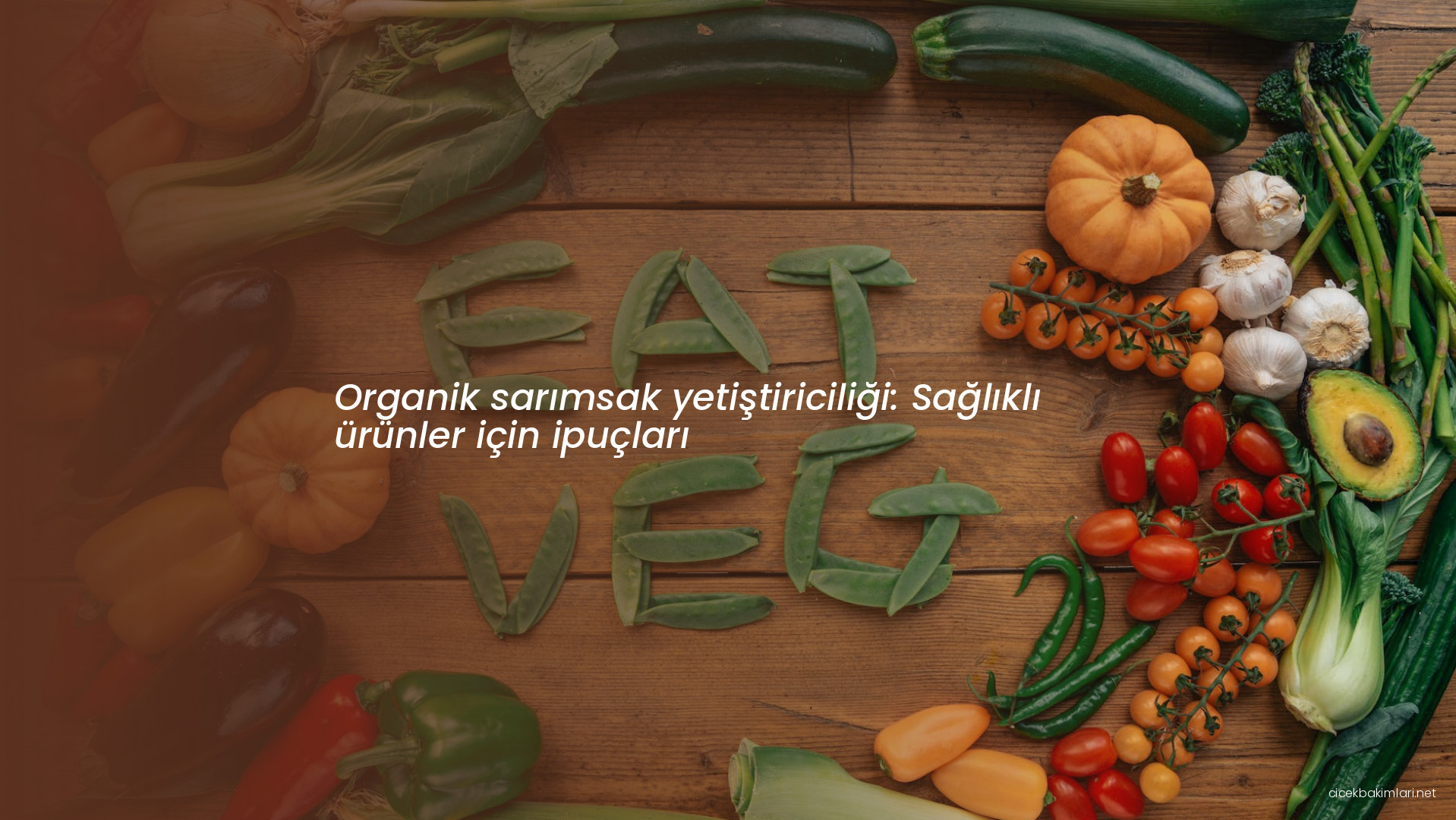 Organik sarımsak yetiştiriciliği: Sağlıklı ürünler için ipuçları