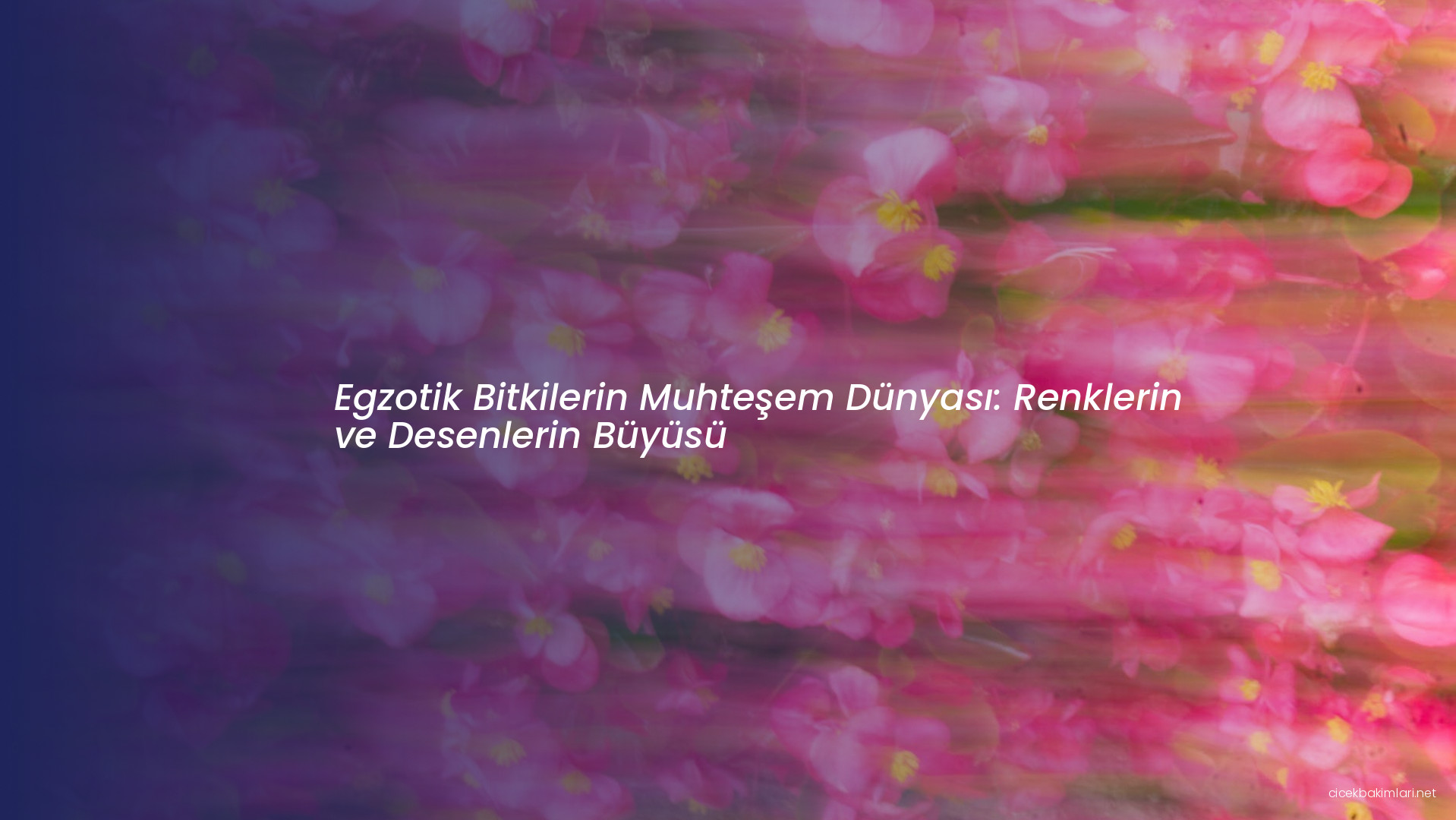 Egzotik Bitkilerin Muhteşem Dünyası: Renklerin ve Desenlerin Büyüsü