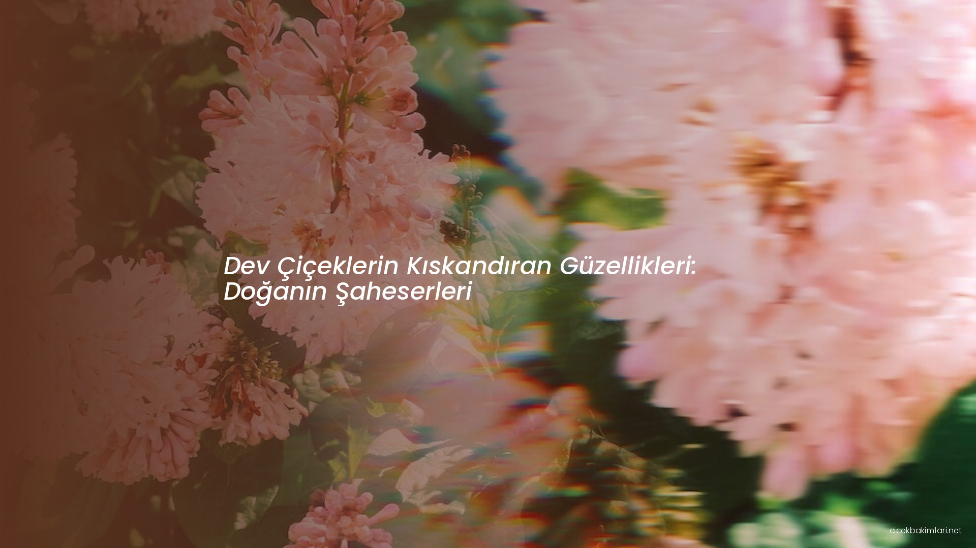 Dev Çiçeklerin Kıskandıran Güzellikleri: Doğanın Şaheserleri