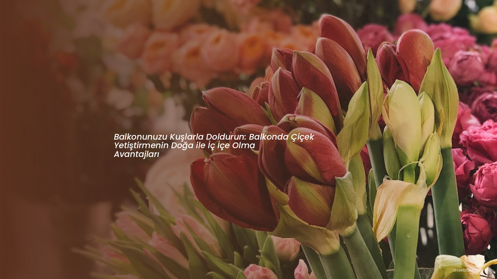 Balkonunuzu Kuşlarla Doldurun: Balkonda Çiçek Yetiştirmenin Doğa ile İç İçe Olma Avantajları
