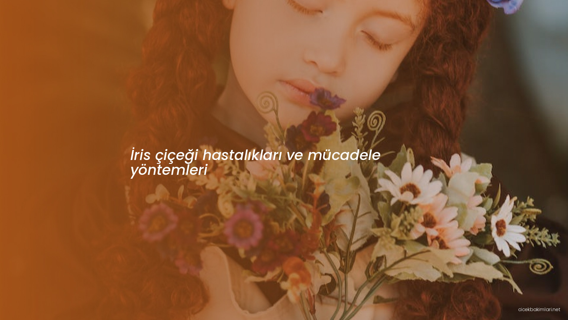 İris çiçeği hastalıkları ve mücadele yöntemleri