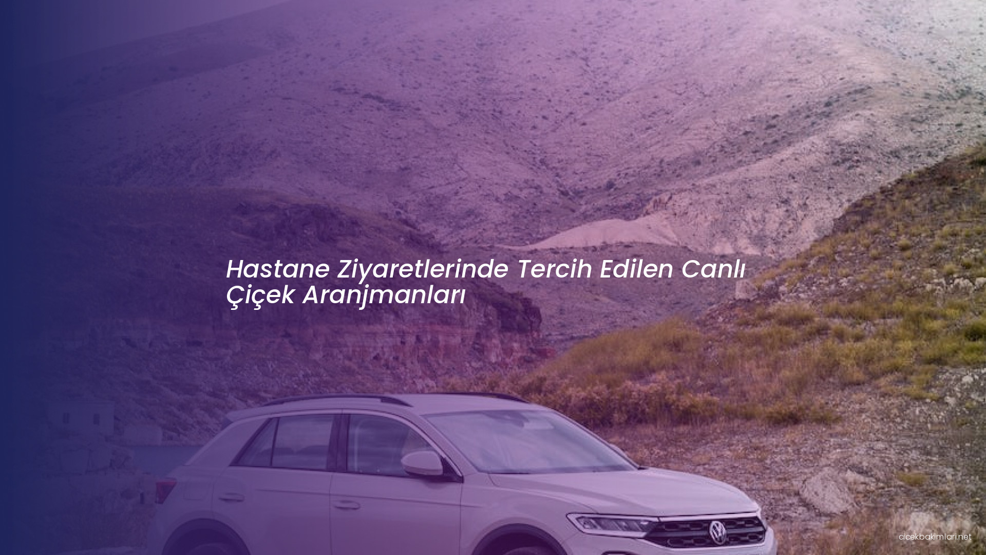 Hastane Ziyaretlerinde Tercih Edilen Canlı Çiçek Aranjmanları