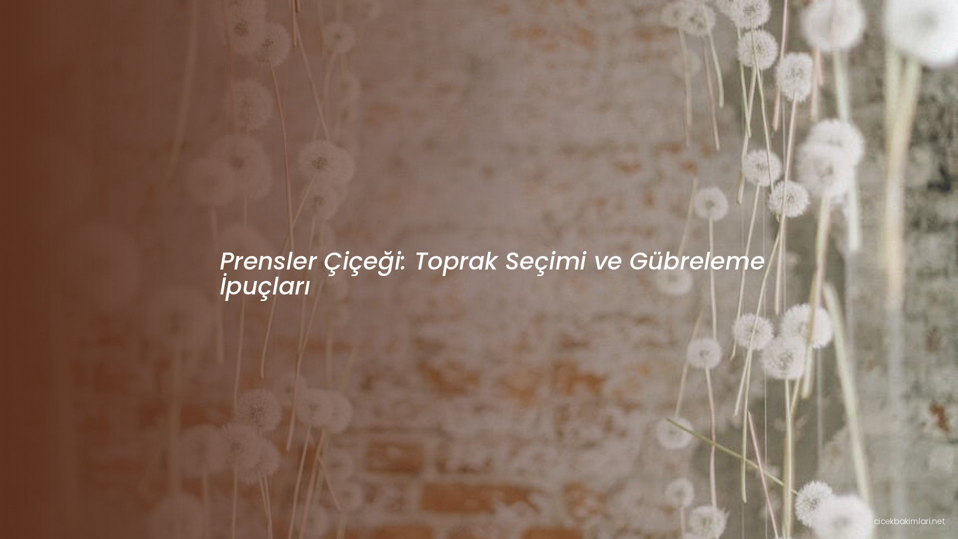 Prensler Çiçeği: Toprak Seçimi ve Gübreleme İpuçları