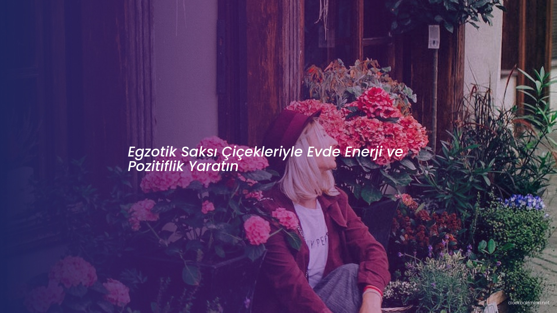 Egzotik Saksı Çiçekleriyle Evde Enerji ve Pozitiflik Yaratın