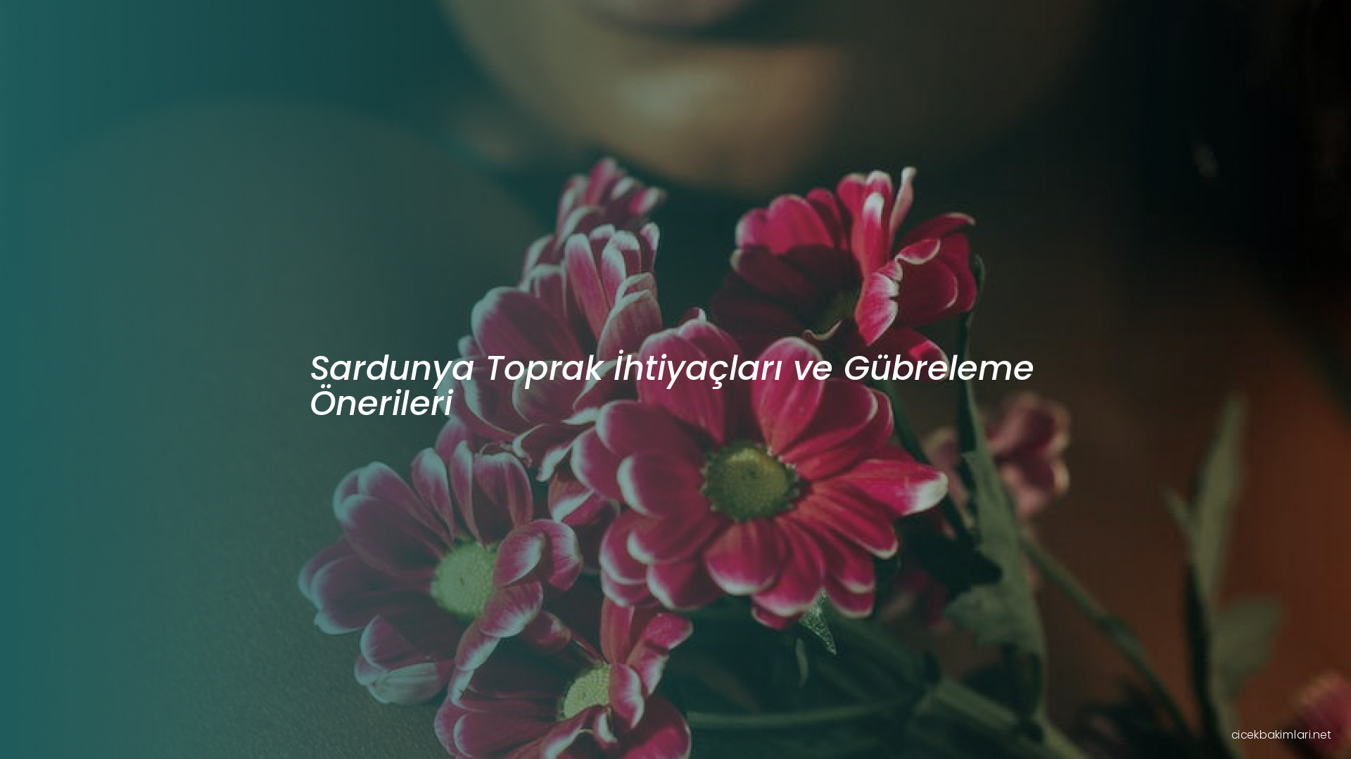 Sardunya Toprak İhtiyaçları ve Gübreleme Önerileri