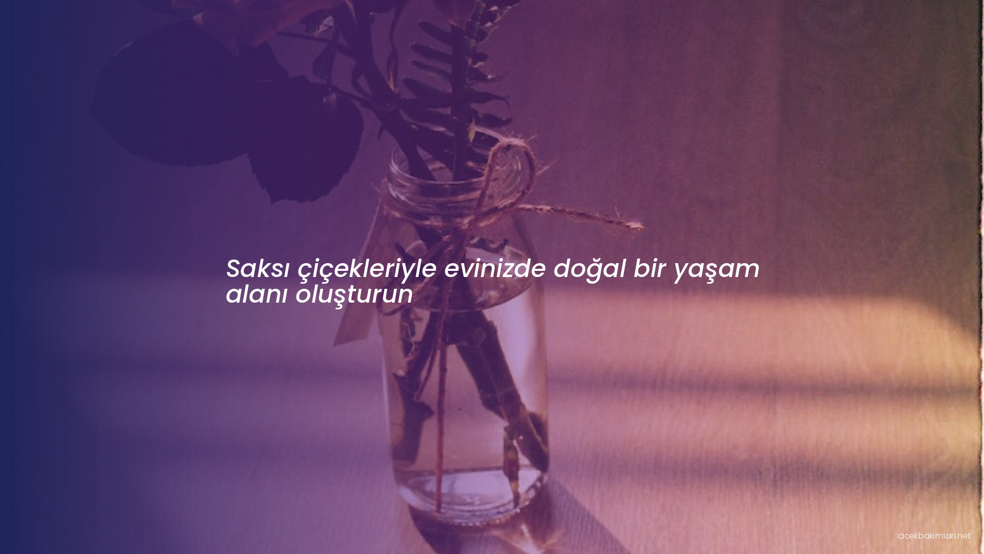 Saksı çiçekleriyle evinizde doğal bir yaşam alanı oluşturun