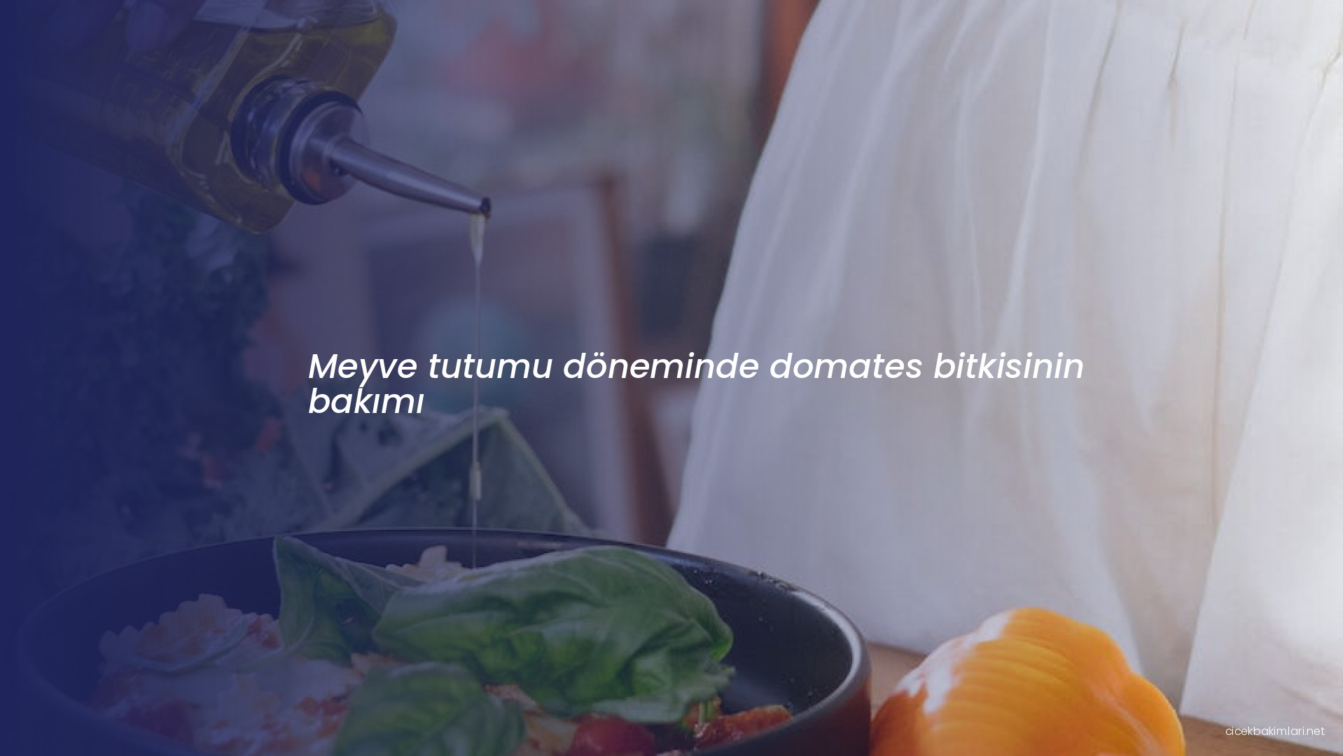 Meyve tutumu döneminde domates bitkisinin bakımı