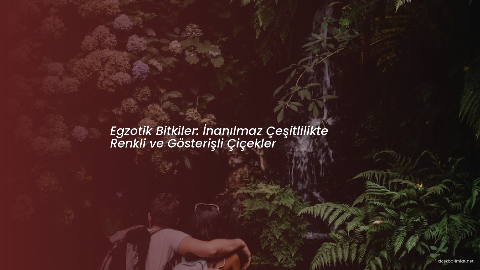 Egzotik Bitkiler: İnanılmaz Çeşitlilikte Renkli ve Gösterişli Çiçekler