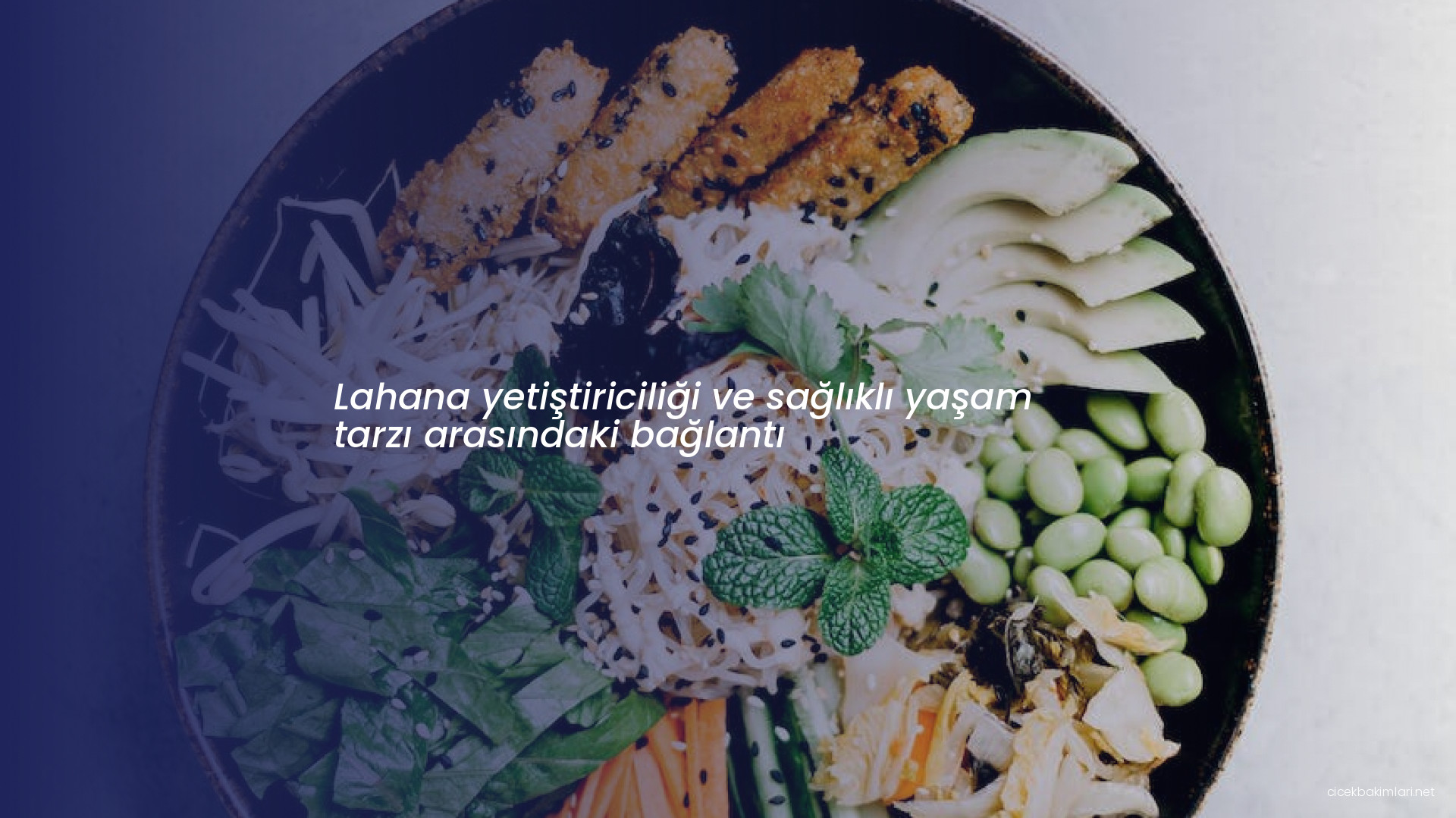 Lahana yetiştiriciliği ve sağlıklı yaşam tarzı arasındaki bağlantı