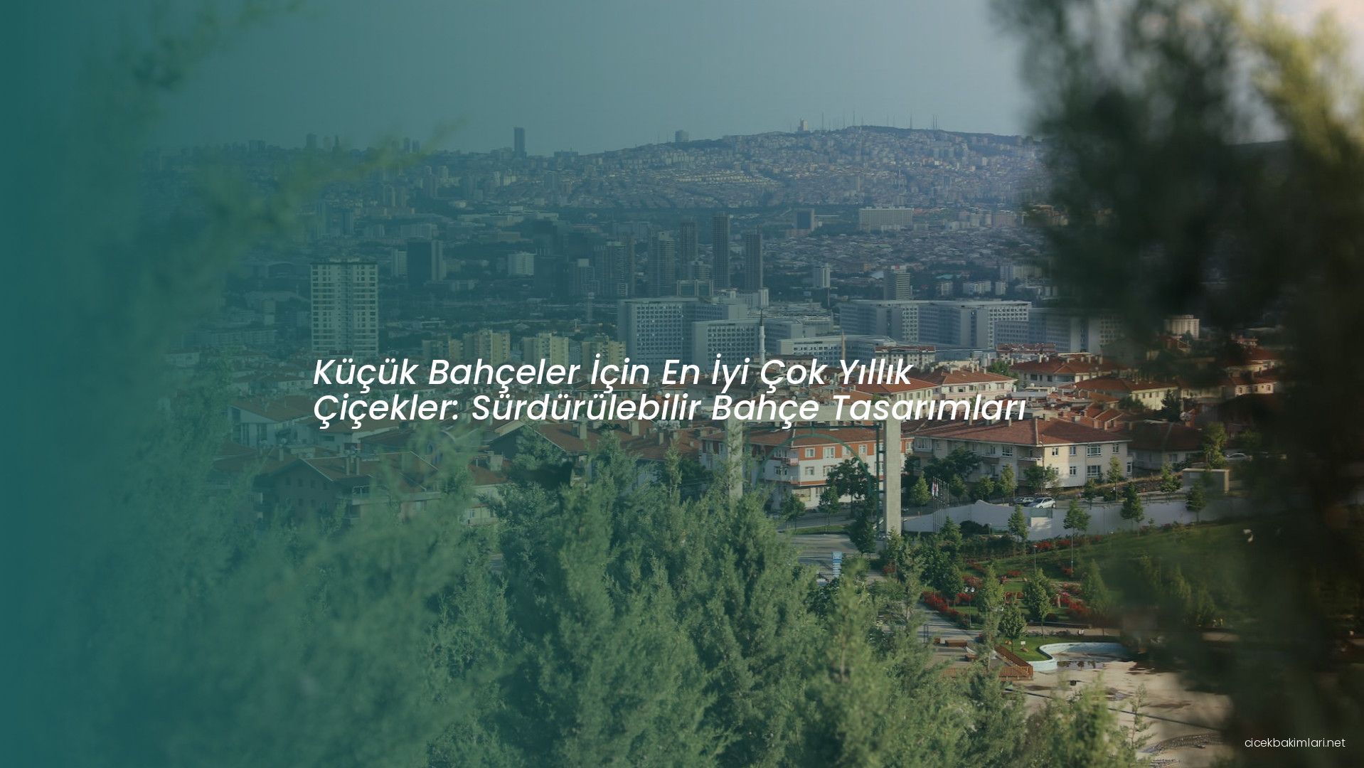 Küçük Bahçeler İçin En İyi Çok Yıllık Çiçekler: Sürdürülebilir Bahçe Tasarımları