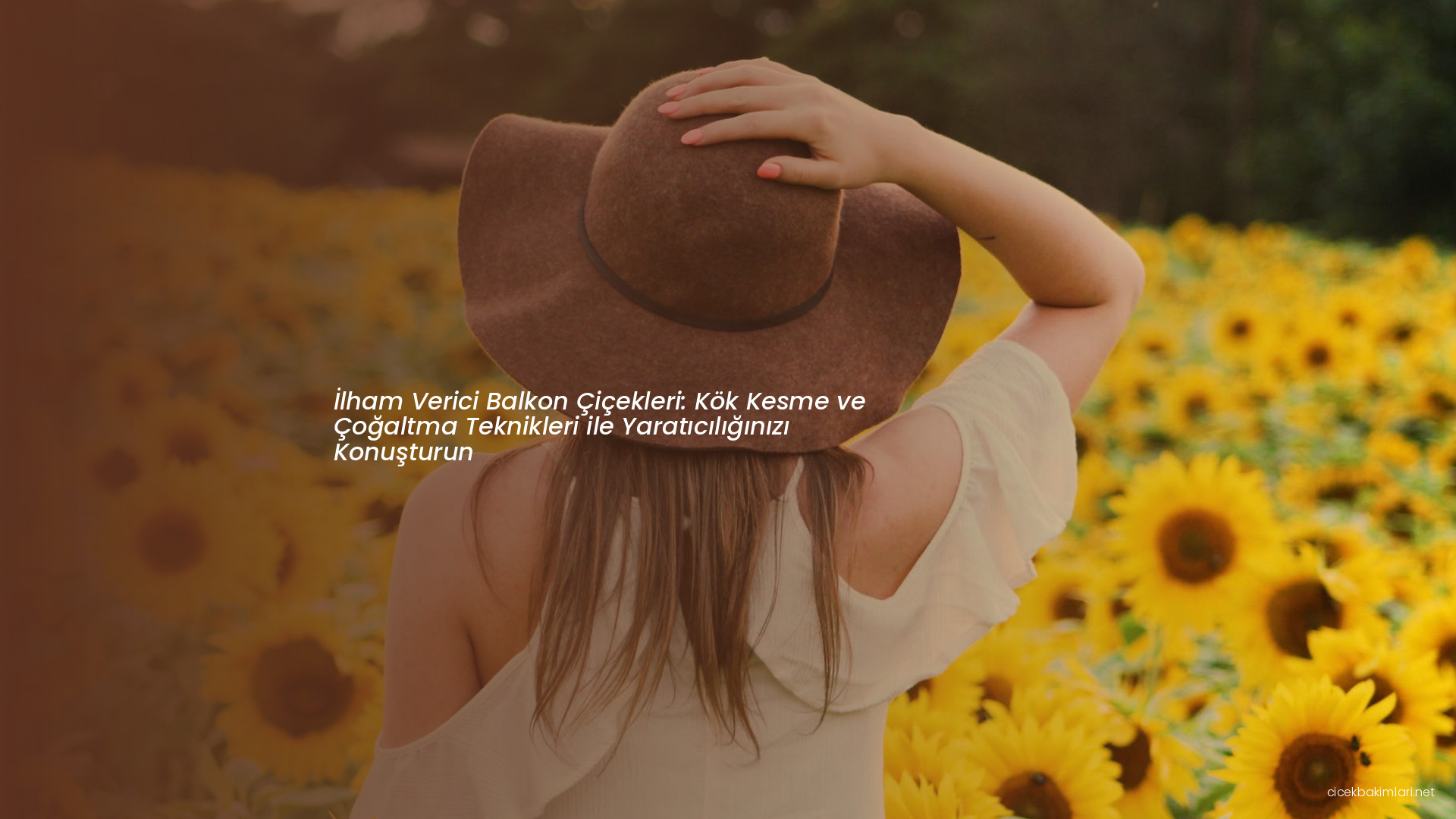 İlham Verici Balkon Çiçekleri: Kök Kesme ve Çoğaltma Teknikleri ile Yaratıcılığınızı Konuşturun