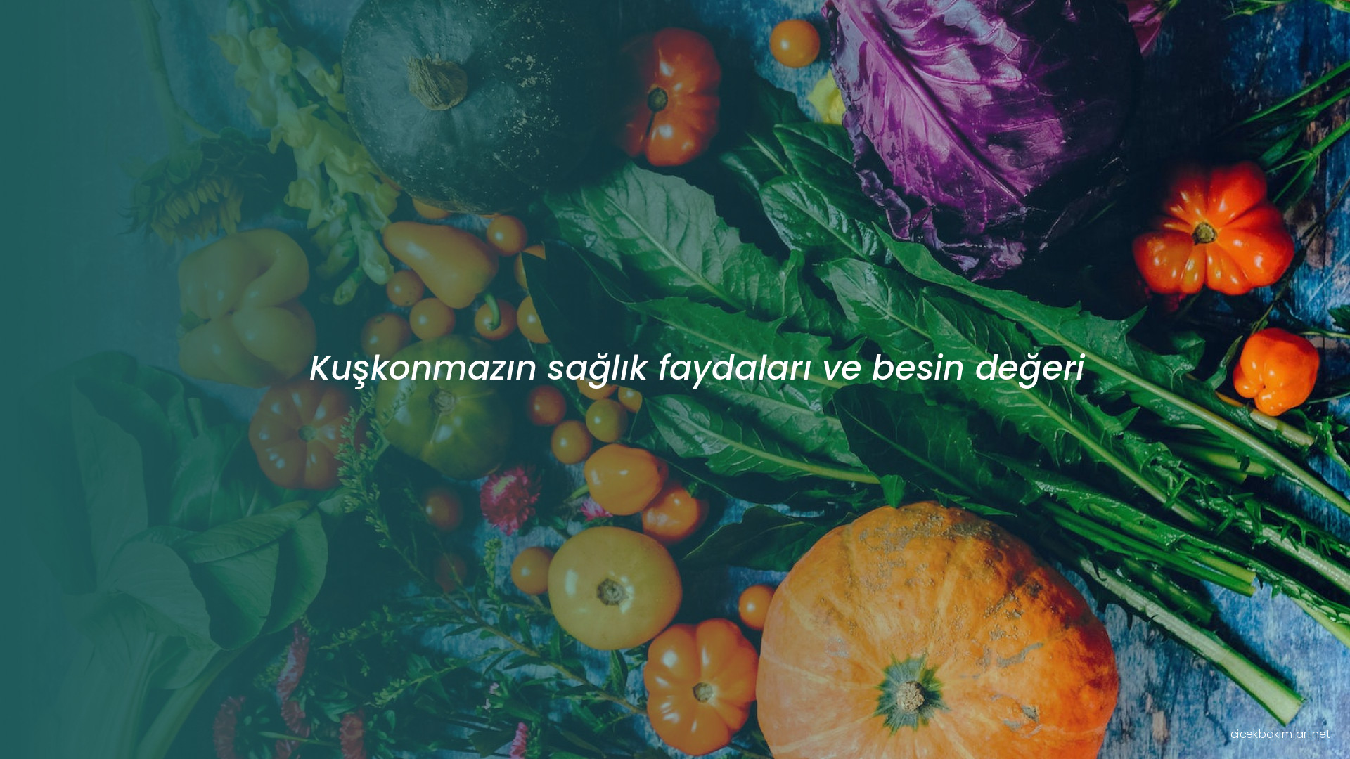 Kuşkonmazın sağlık faydaları ve besin değeri