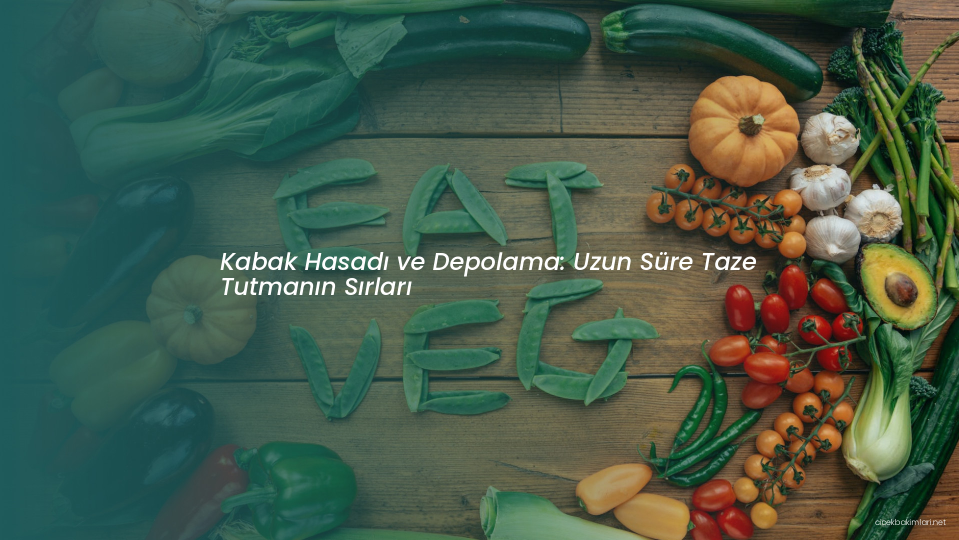 Kabak Hasadı ve Depolama: Uzun Süre Taze Tutmanın Sırları