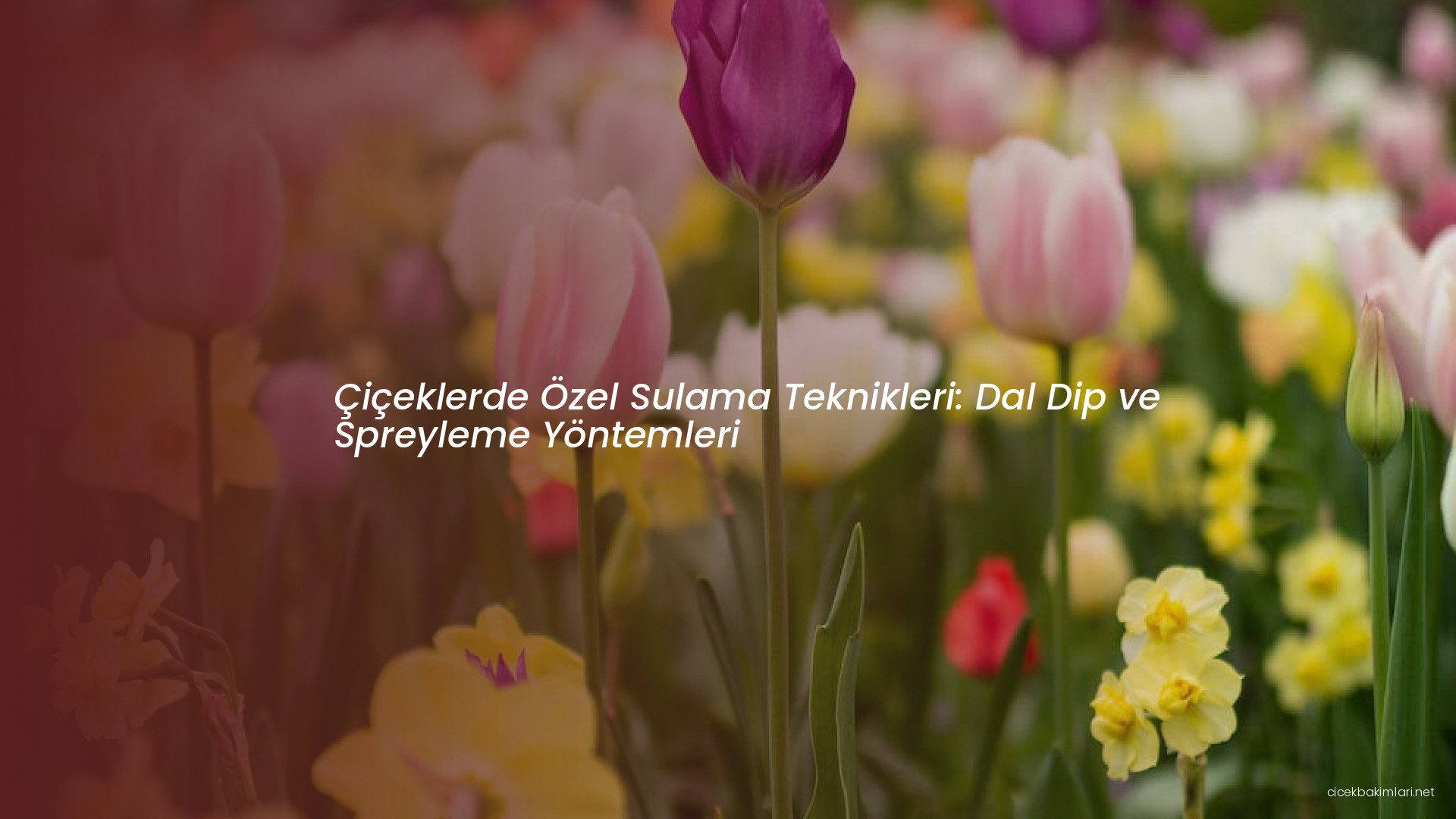 Çiçeklerde Özel Sulama Teknikleri: Dal Dip ve Spreyleme Yöntemleri