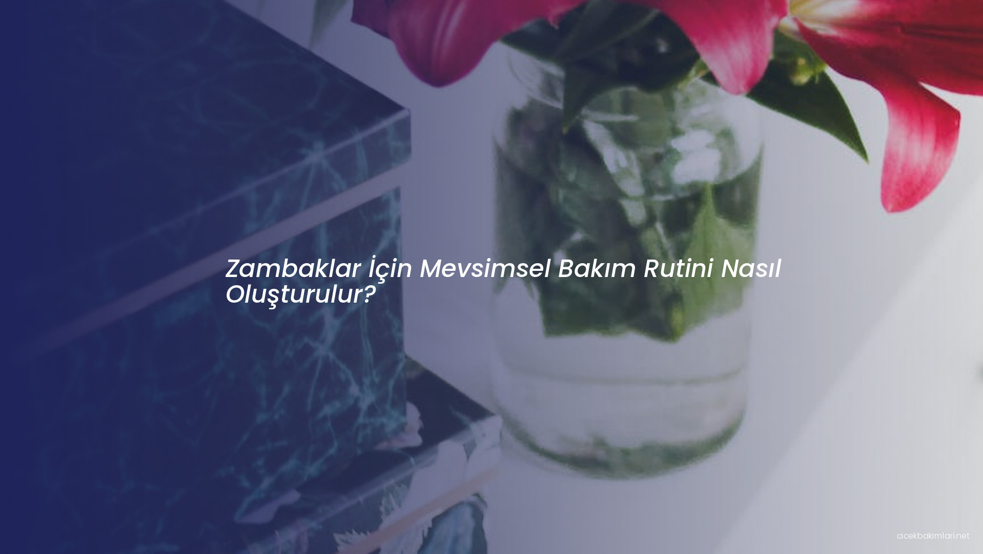 Zambaklar İçin Mevsimsel Bakım Rutini Nasıl Oluşturulur?