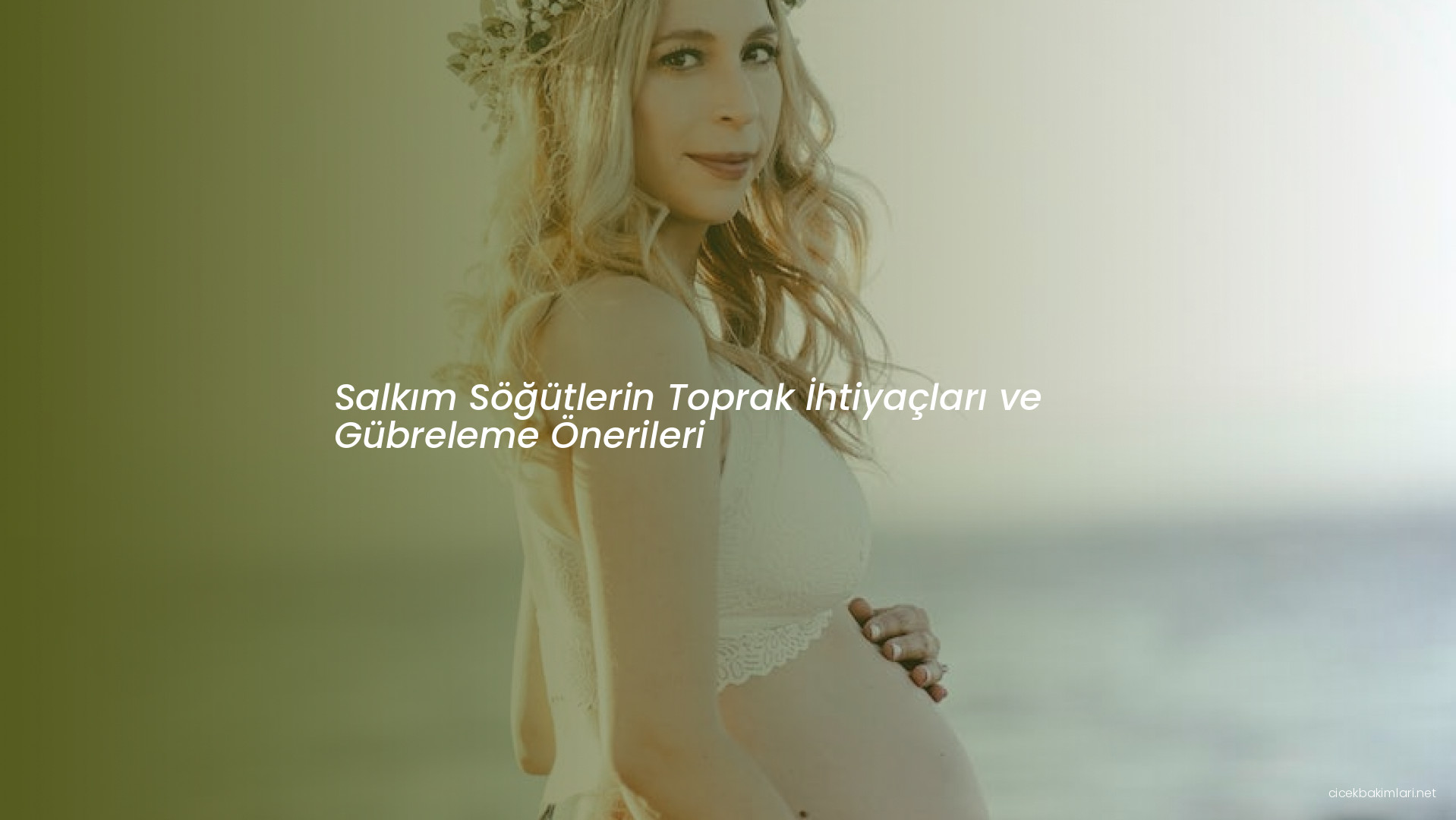 Salkım Söğütlerin Toprak İhtiyaçları ve Gübreleme Önerileri