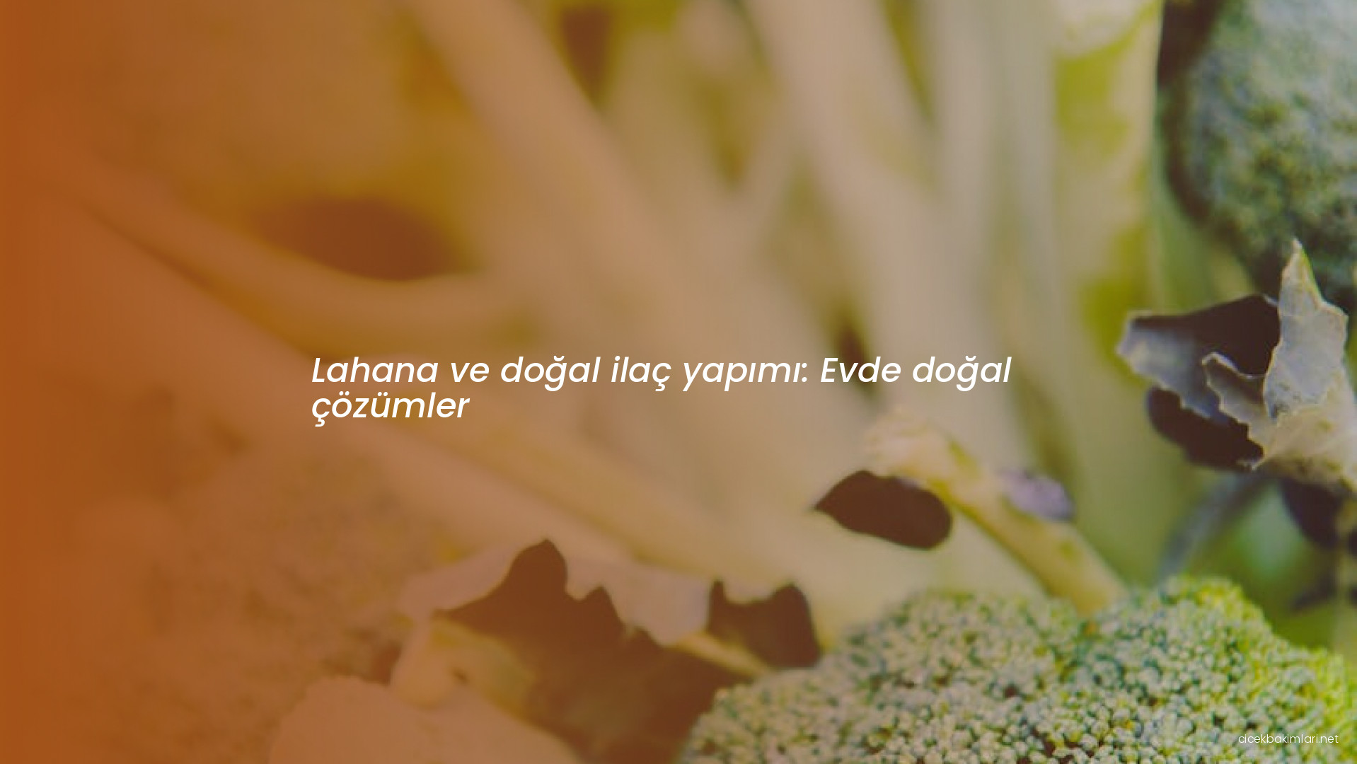 Lahana ve doğal ilaç yapımı: Evde doğal çözümler