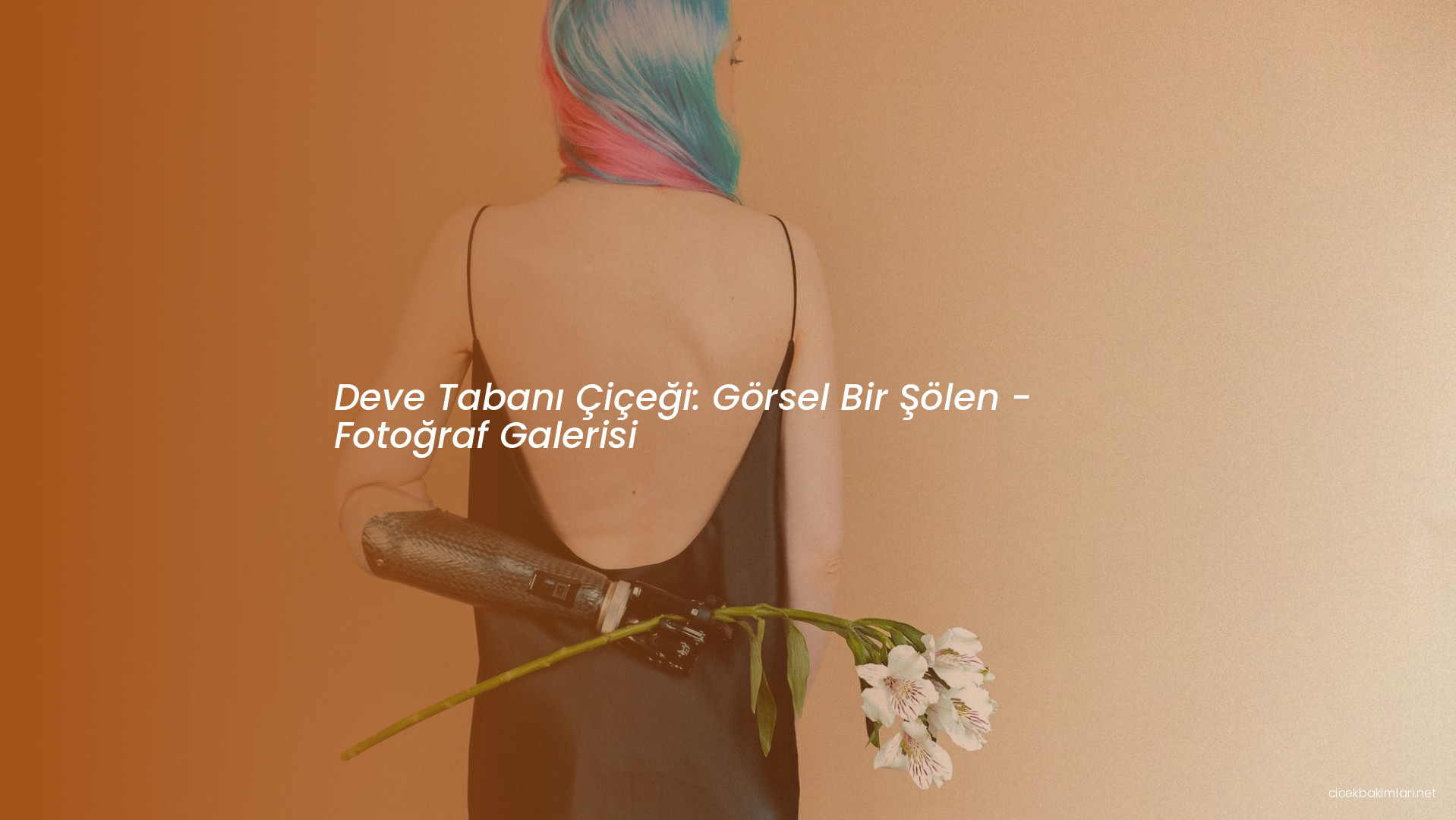 Deve Tabanı Çiçeği: Görsel Bir Şölen - Fotoğraf Galerisi