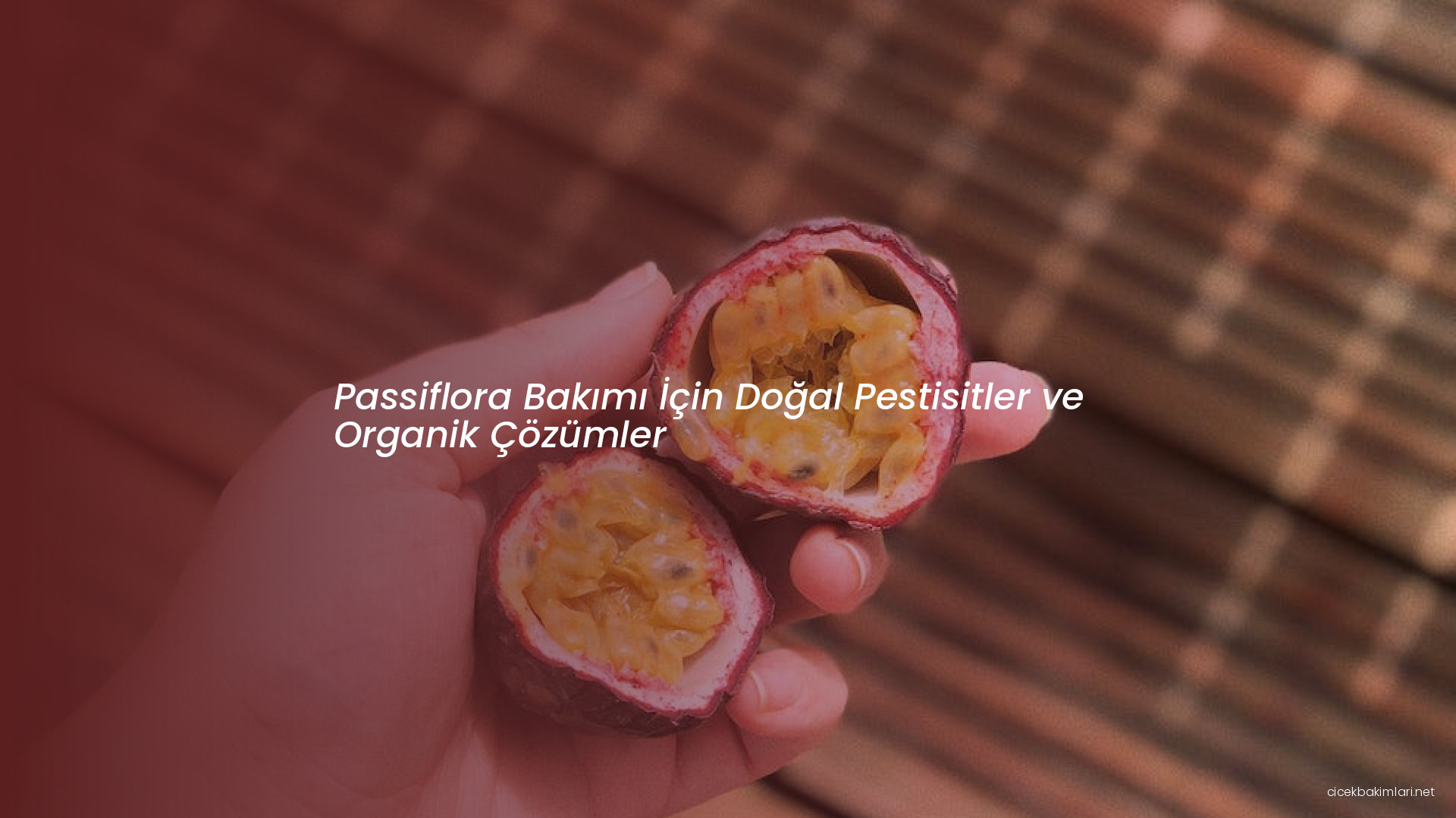 Passiflora Bakımı İçin Doğal Pestisitler ve Organik Çözümler