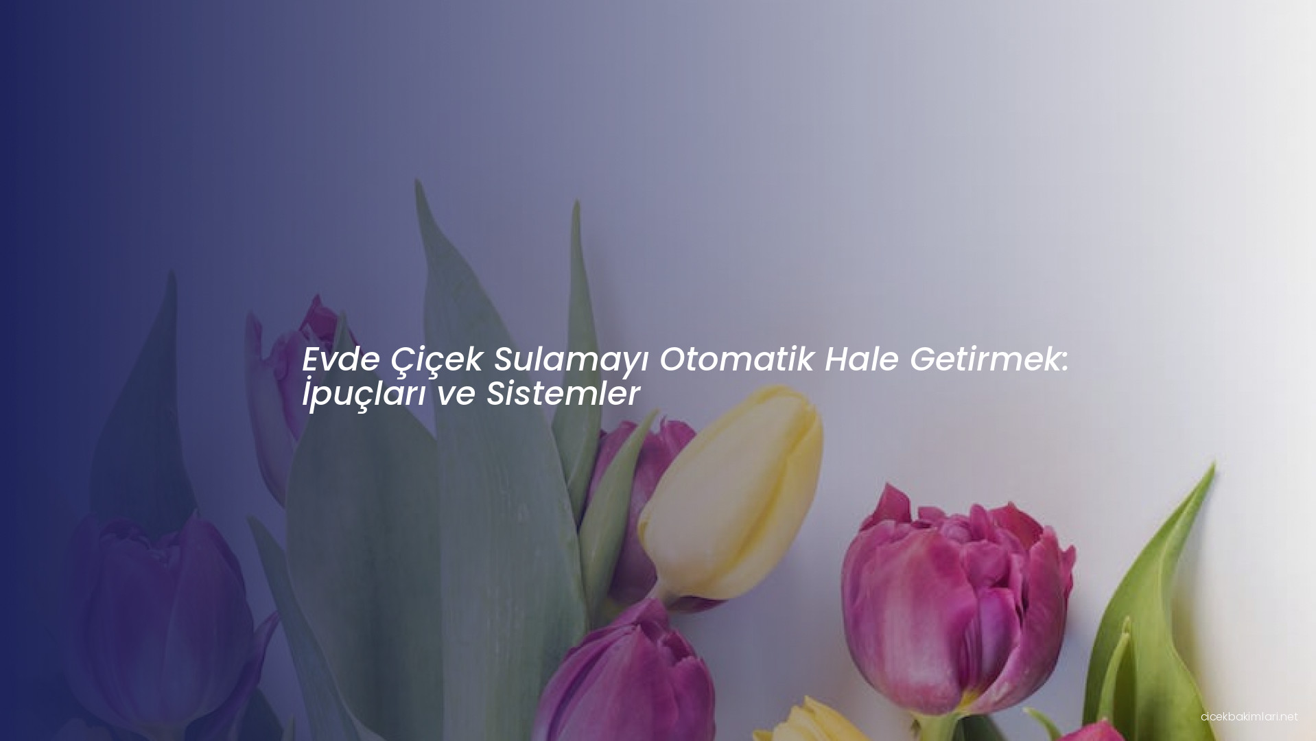 Evde Çiçek Sulamayı Otomatik Hale Getirmek: İpuçları ve Sistemler