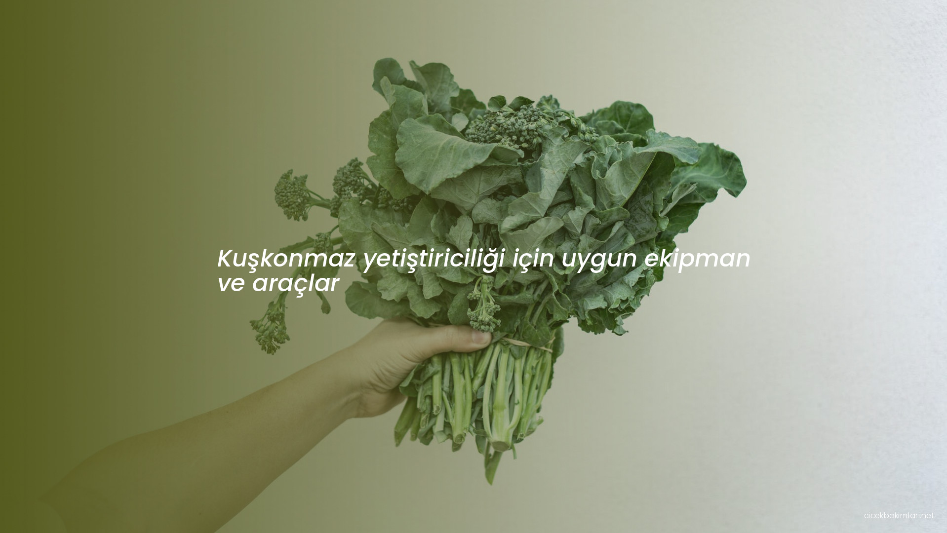 Kuşkonmaz yetiştiriciliği için uygun ekipman ve araçlar