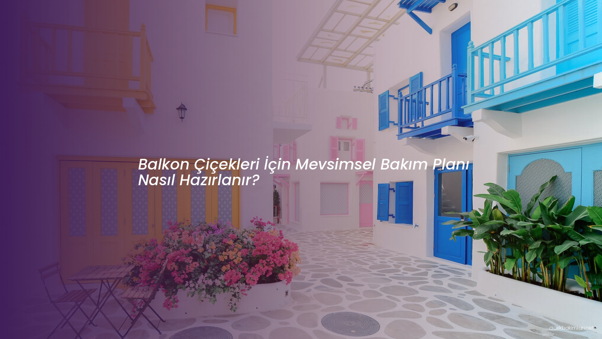 Balkon Çiçekleri İçin Mevsimsel Bakım Planı Nasıl Hazırlanır?