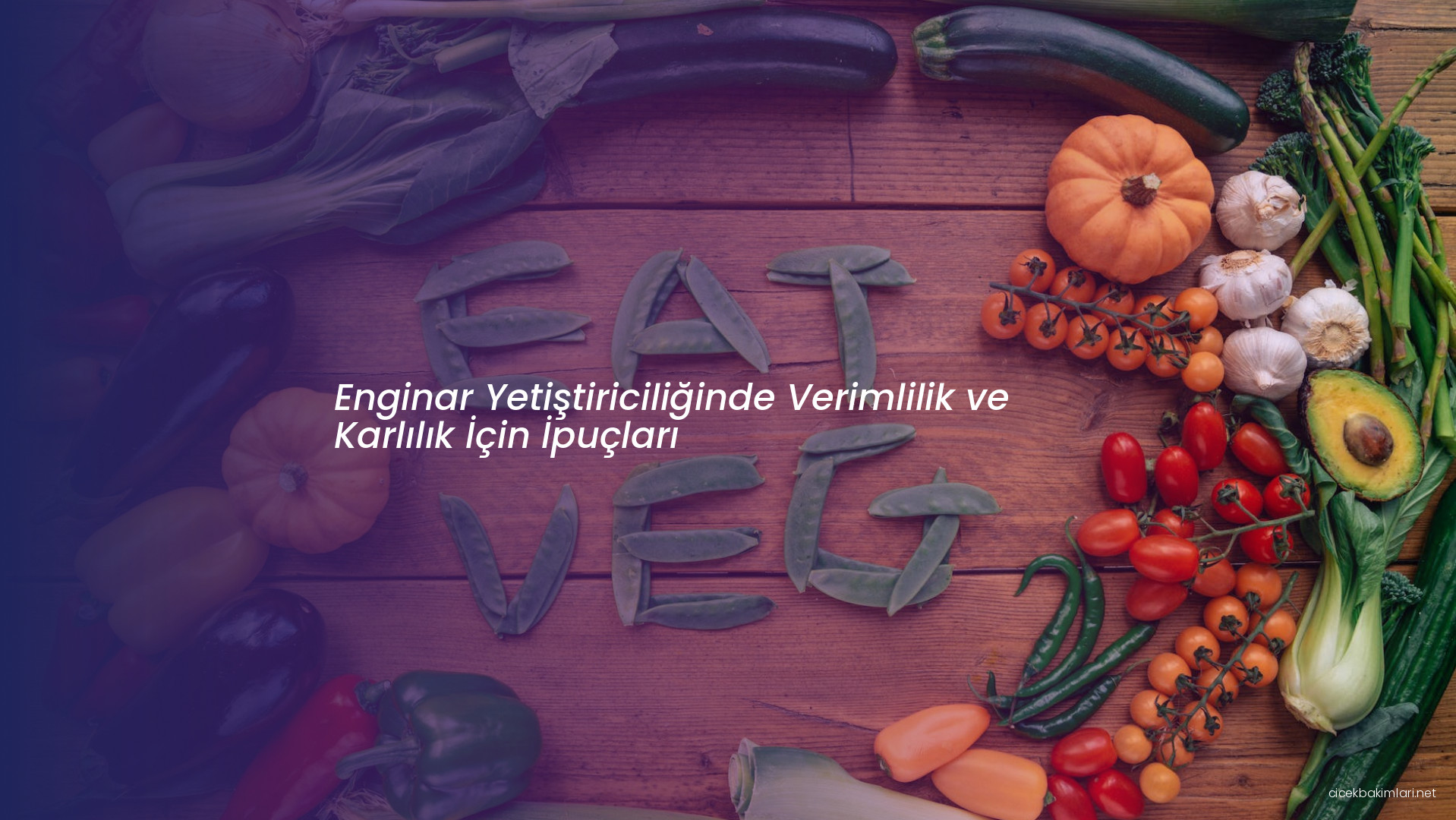 Enginar Yetiştiriciliğinde Verimlilik ve Karlılık İçin İpuçları