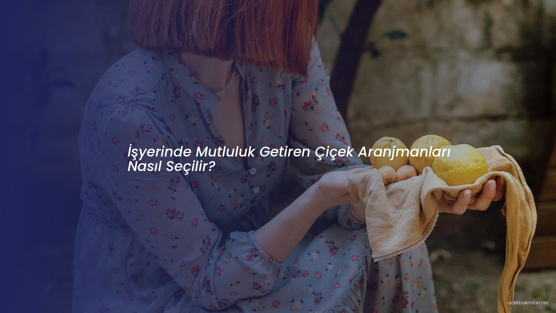 İşyerinde Mutluluk Getiren Çiçek Aranjmanları Nasıl Seçilir?