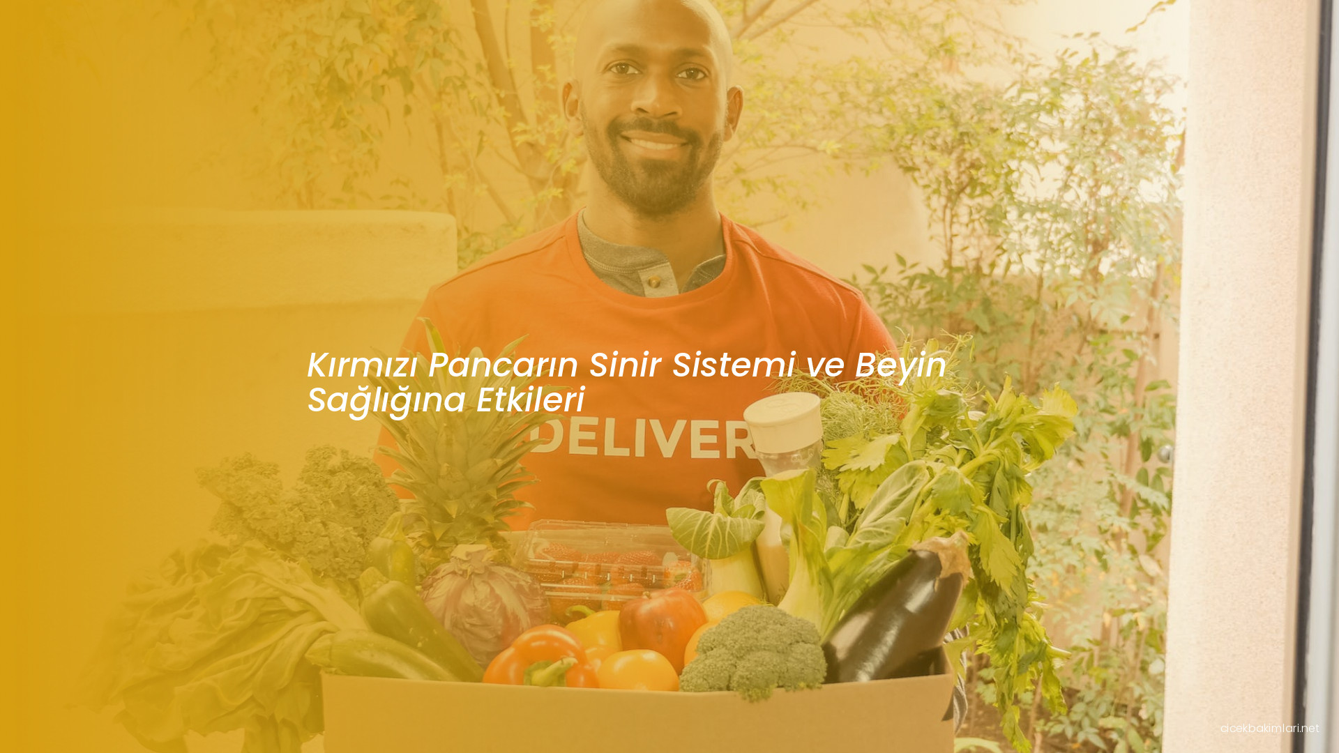 Kırmızı Pancarın Sinir Sistemi ve Beyin Sağlığına Etkileri