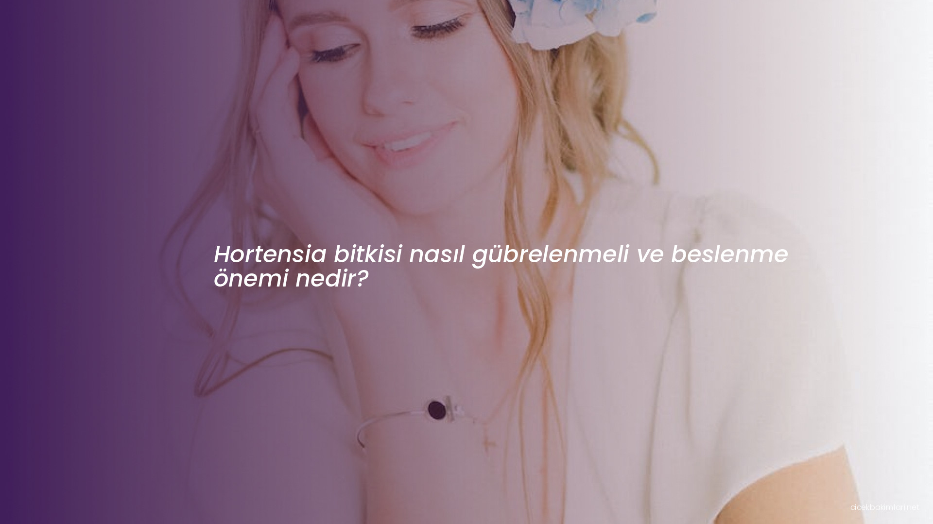 Hortensia bitkisi nasıl gübrelenmeli ve beslenme önemi nedir?