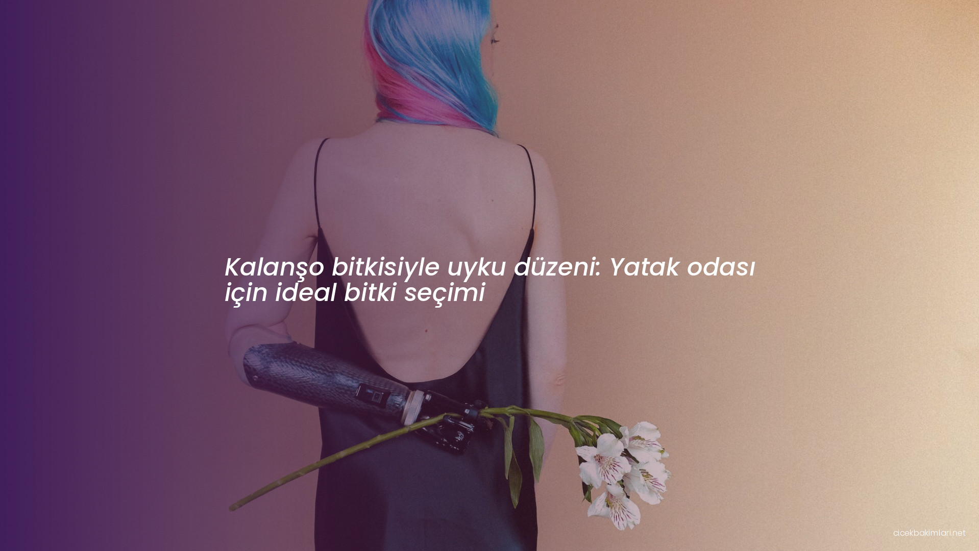 Kalanşo bitkisiyle uyku düzeni: Yatak odası için ideal bitki seçimi