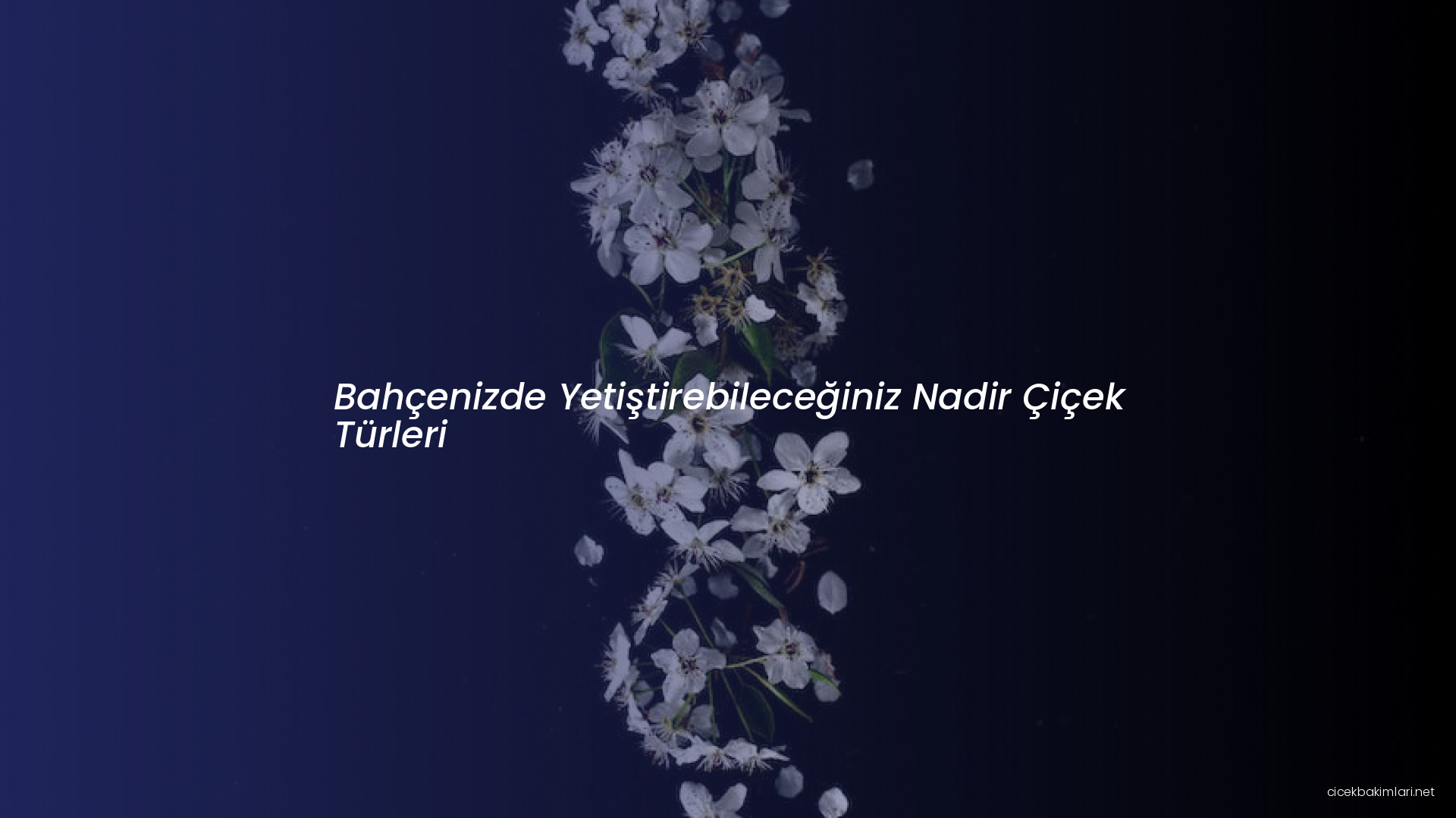 Bahçenizde Yetiştirebileceğiniz Nadir Çiçek Türleri