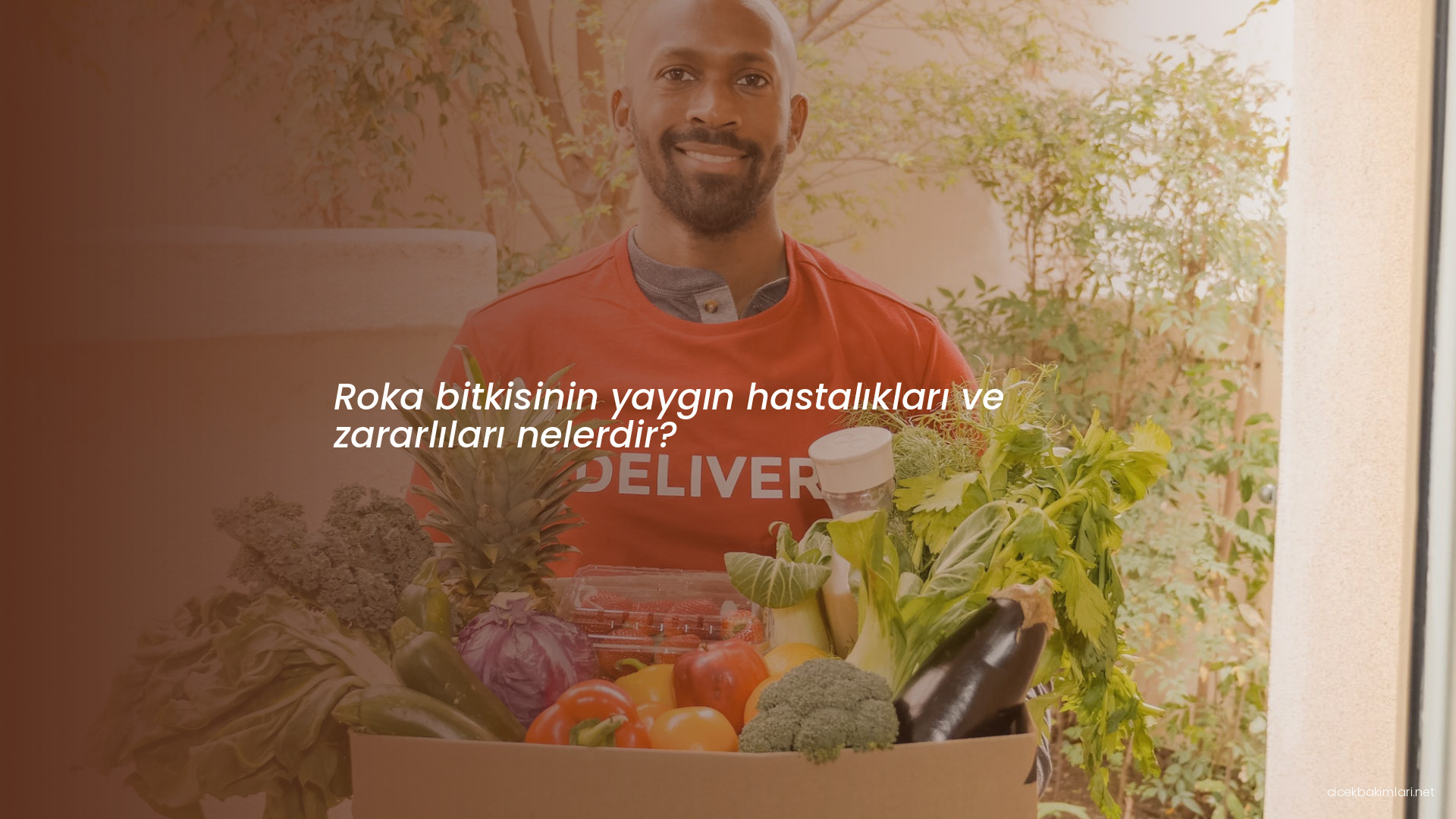 Roka bitkisinin yaygın hastalıkları ve zararlıları nelerdir?
