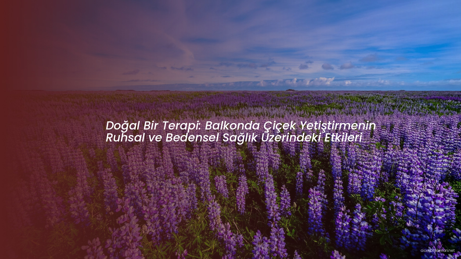 Doğal Bir Terapi: Balkonda Çiçek Yetiştirmenin Ruhsal ve Bedensel Sağlık Üzerindeki Etkileri