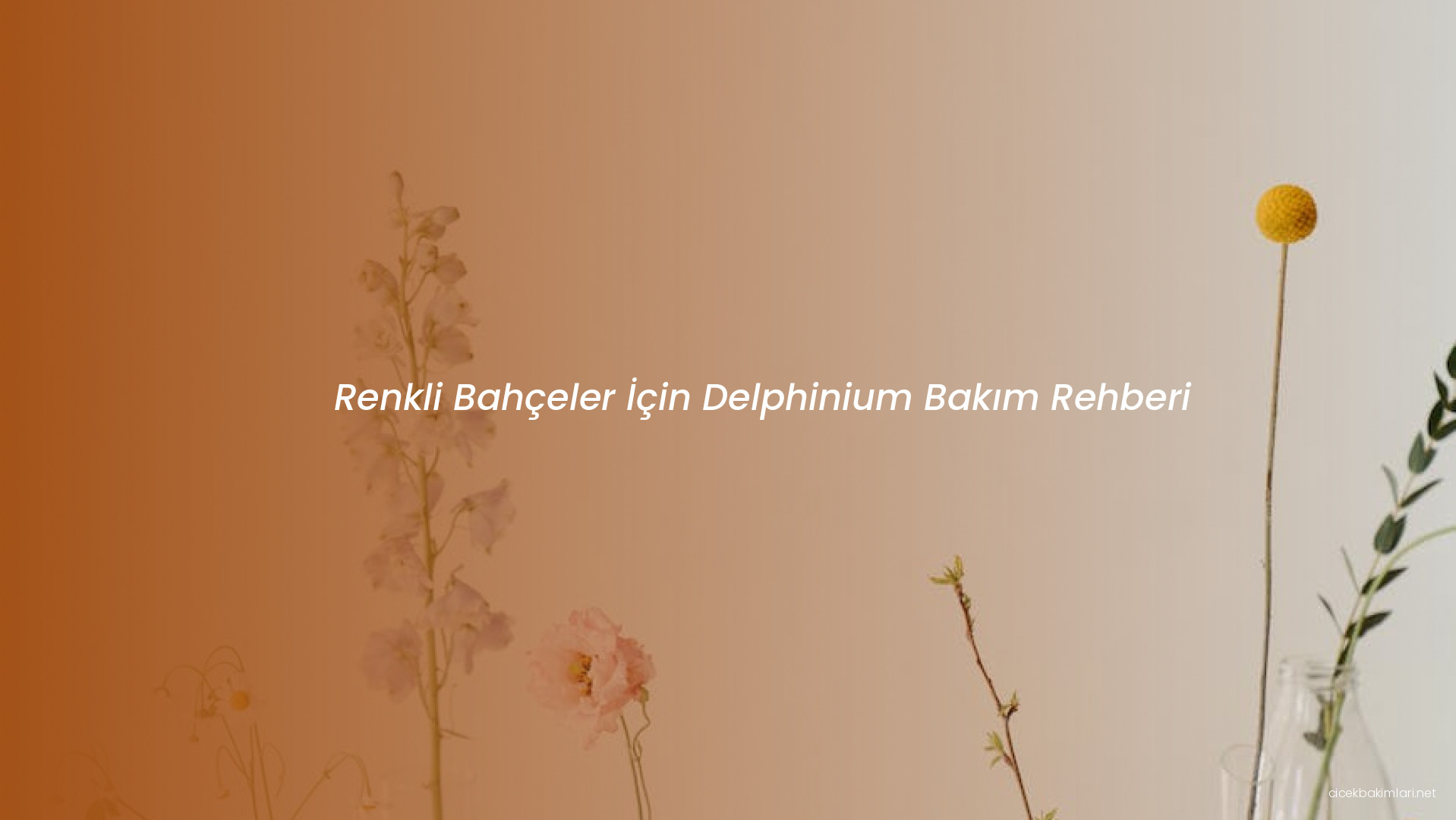 Renkli Bahçeler İçin Delphinium Bakım Rehberi