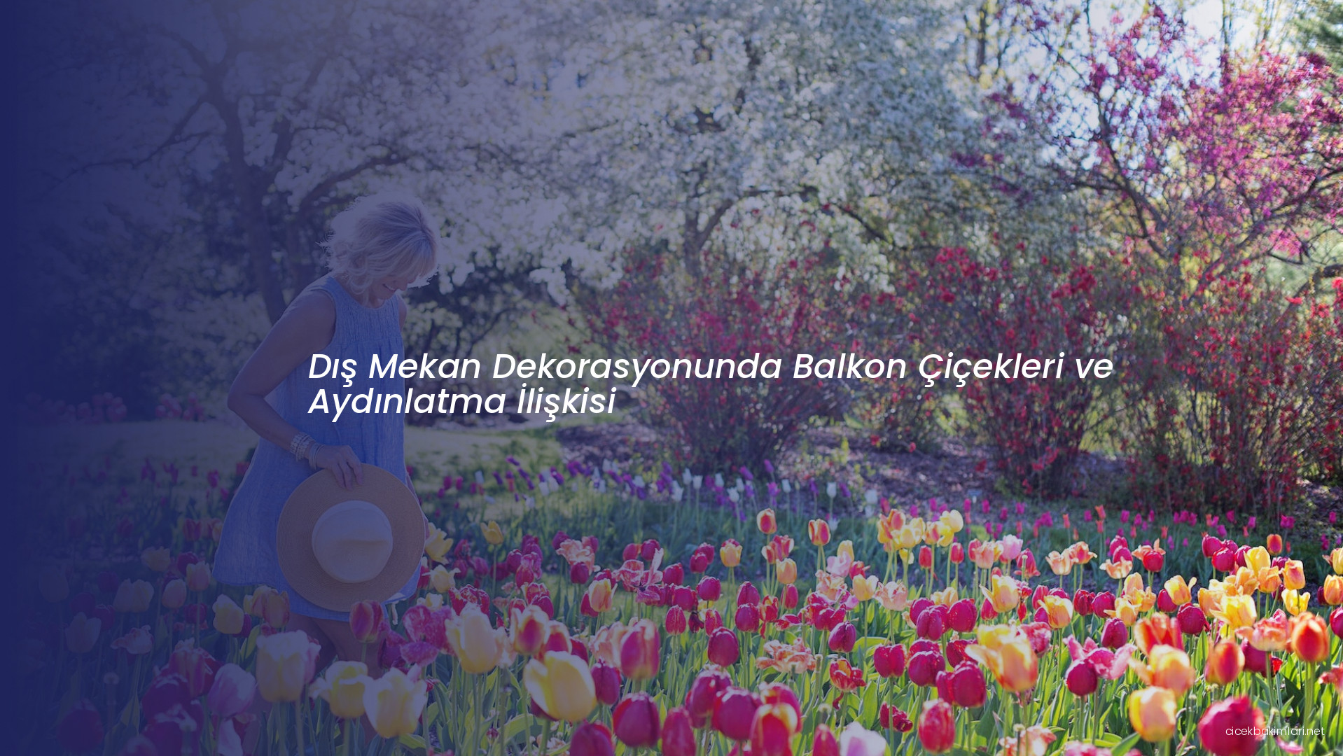 Dış Mekan Dekorasyonunda Balkon Çiçekleri ve Aydınlatma İlişkisi