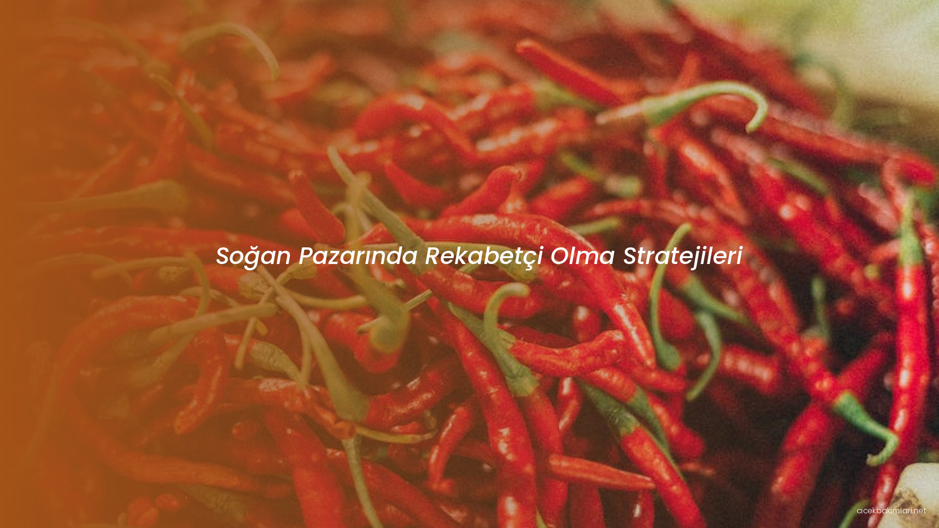 Soğan Pazarında Rekabetçi Olma Stratejileri