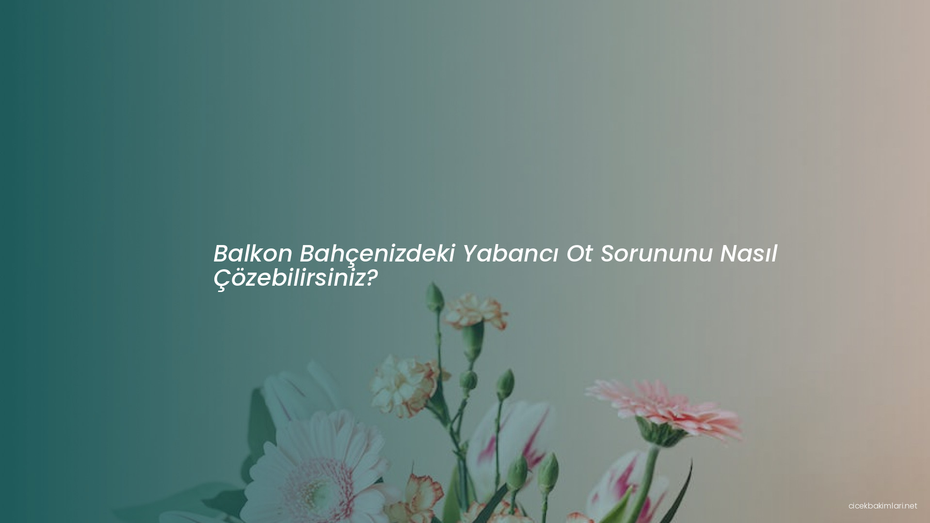 Balkon Bahçenizdeki Yabancı Ot Sorununu Nasıl Çözebilirsiniz?